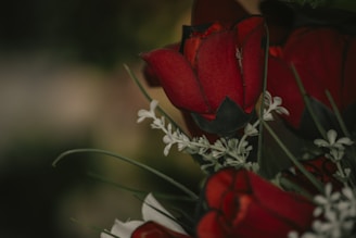 Close-up of a beautiful bouquet featuring red and blue flowers with white highlights.