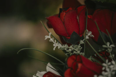 Close-up of a luxurious bouquet featuring deep red roses and gold accents.