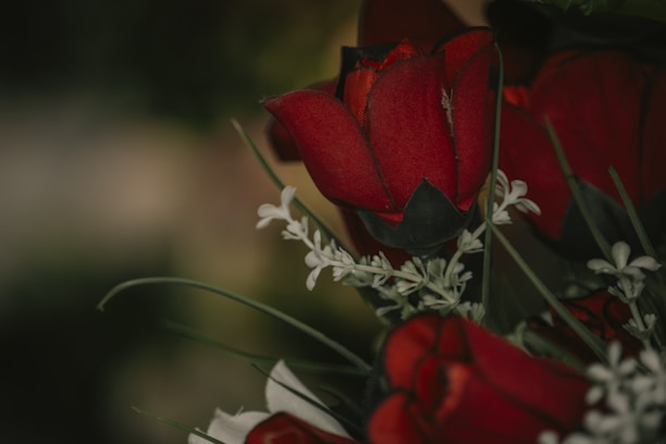 A close-up of a beautiful bouquet of flowers, symbolizing elegance and romance.