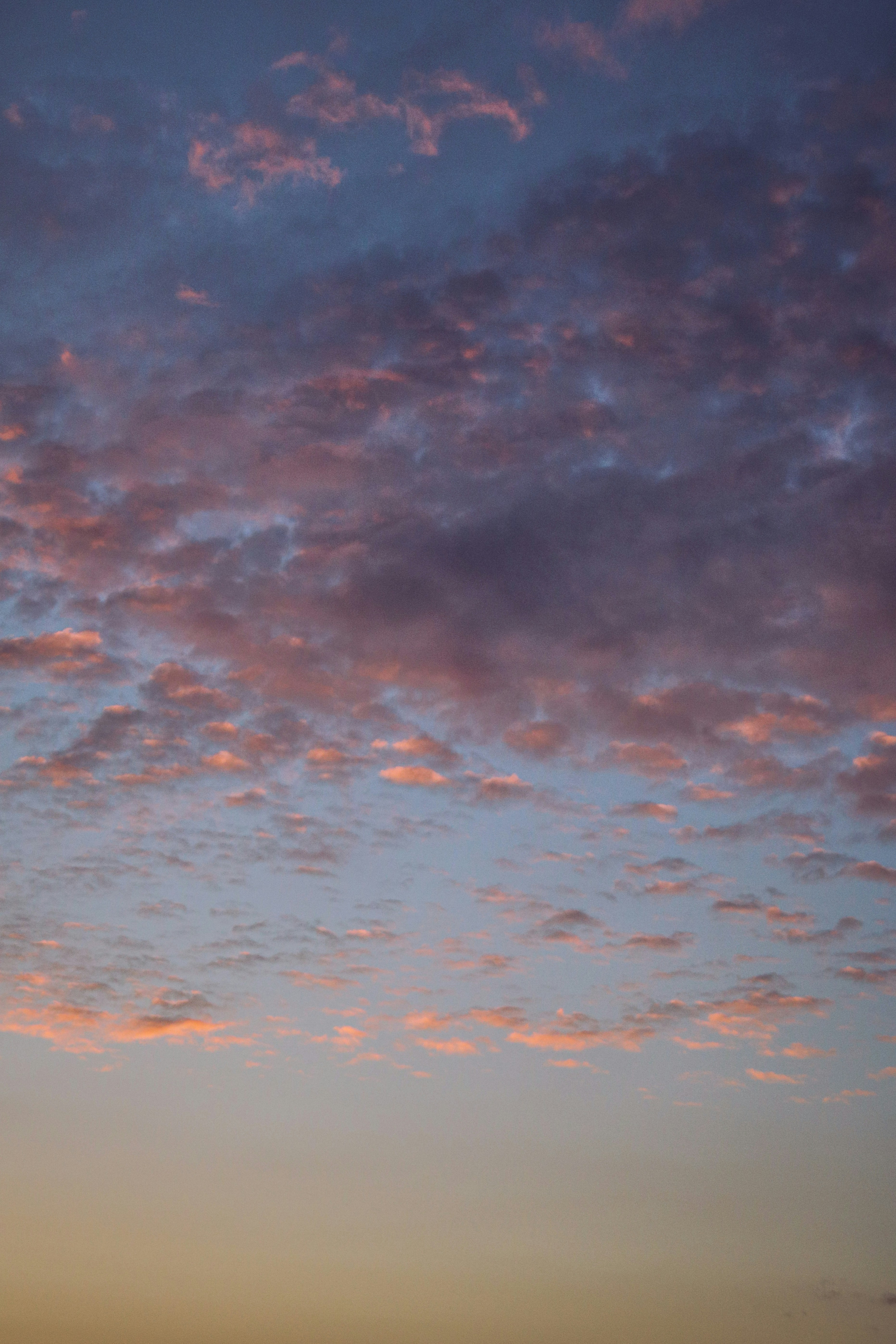 Photo by focalinsight