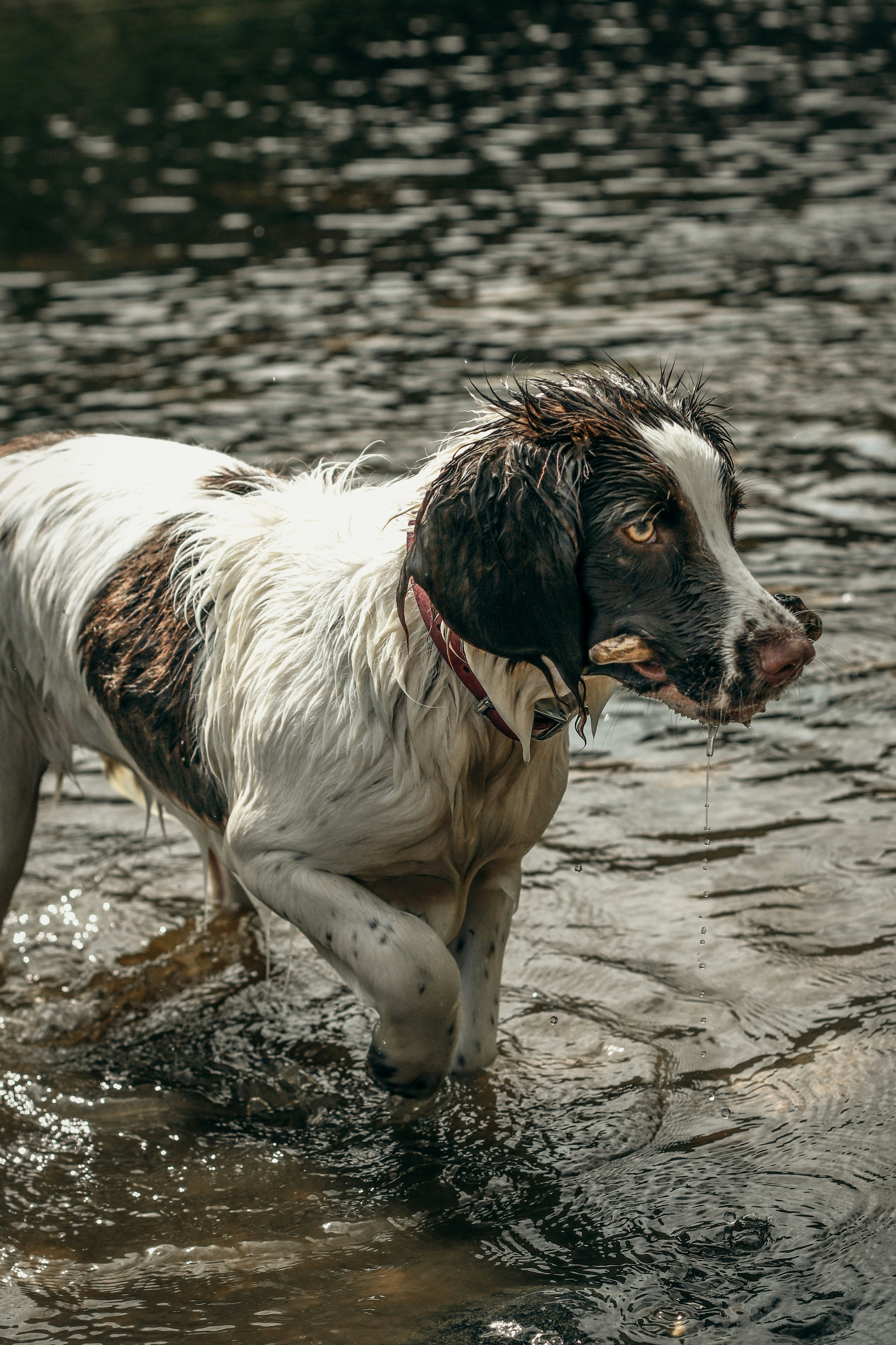 Photo by focalinsight