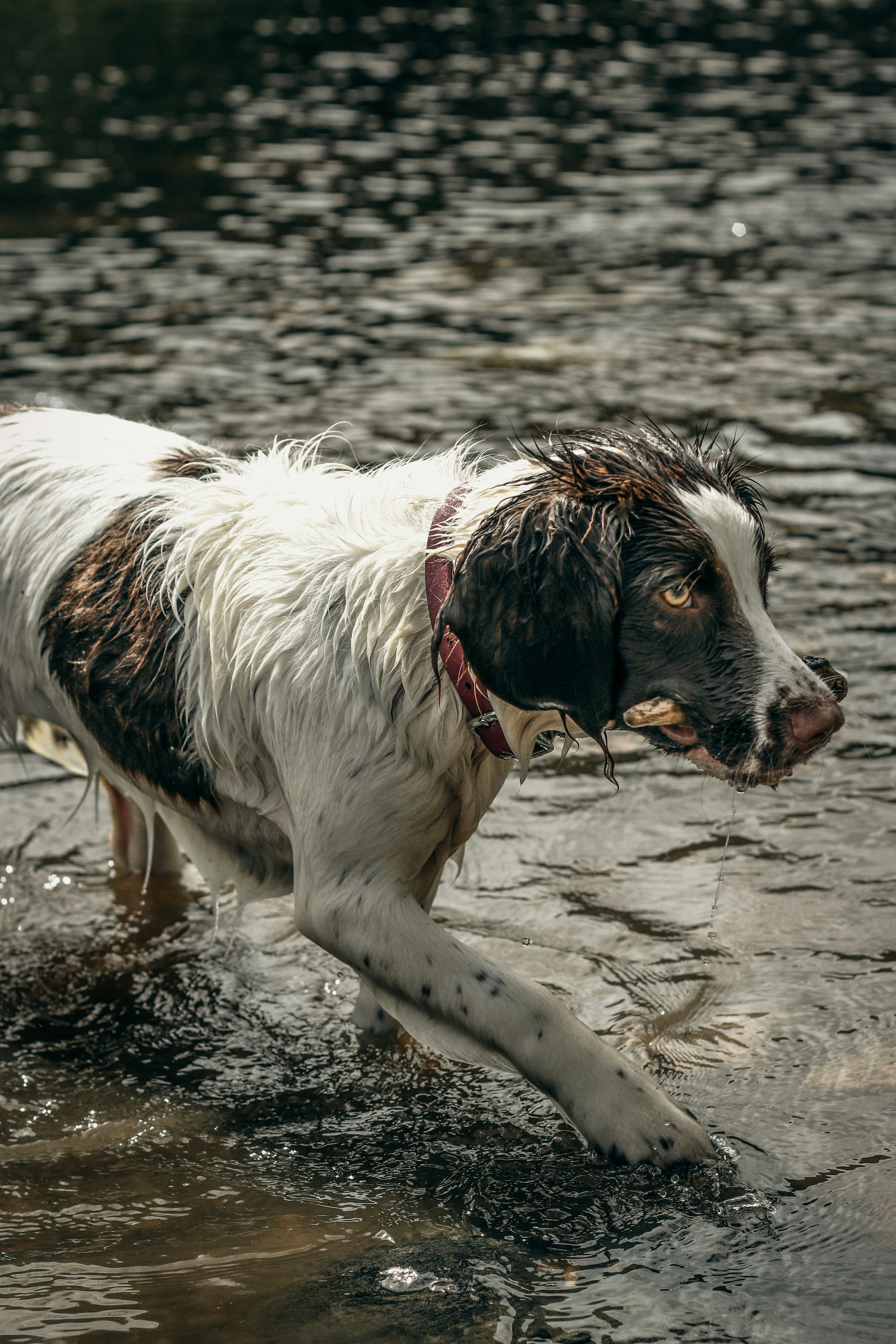 Photo by focalinsight