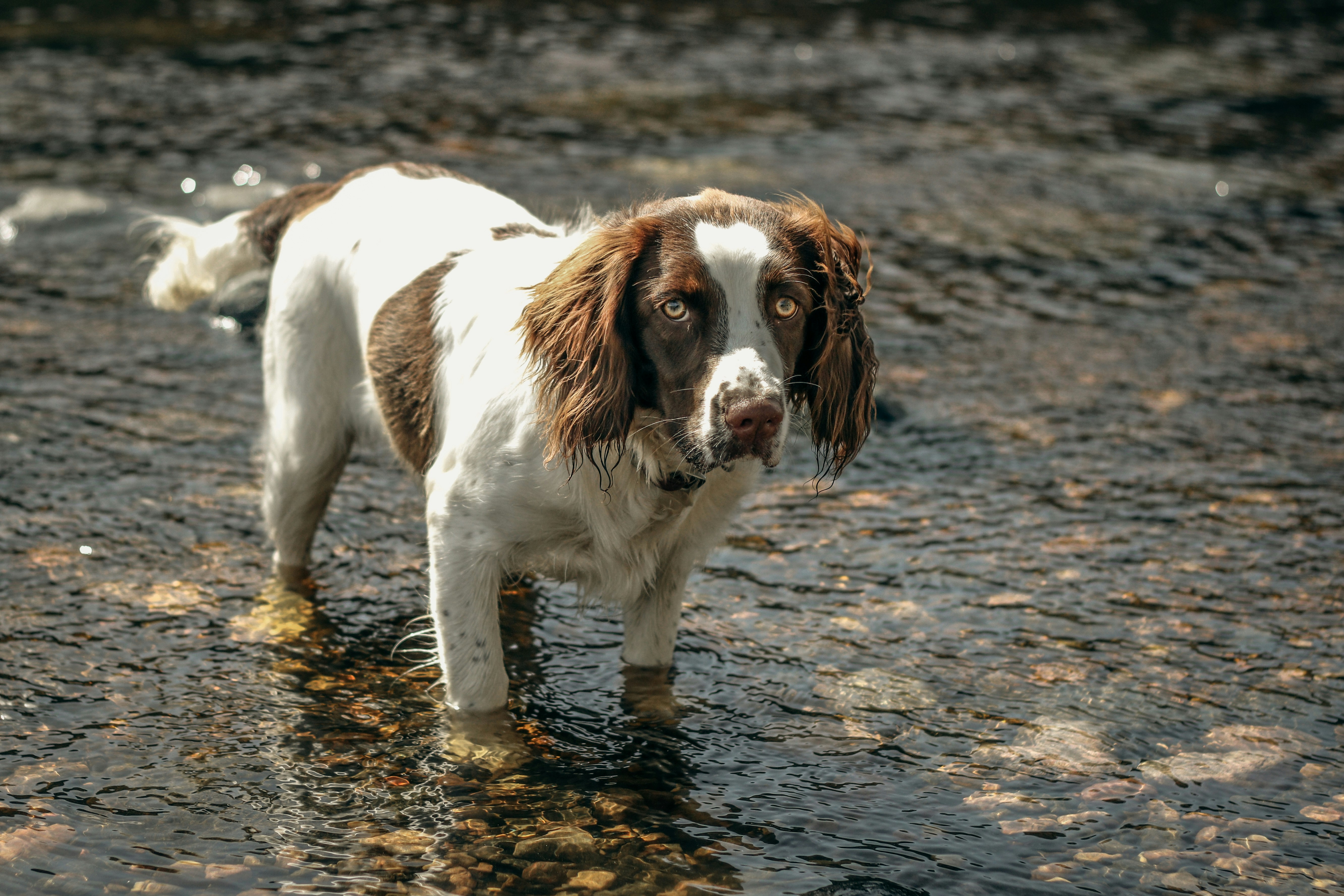 Photo by focalinsight