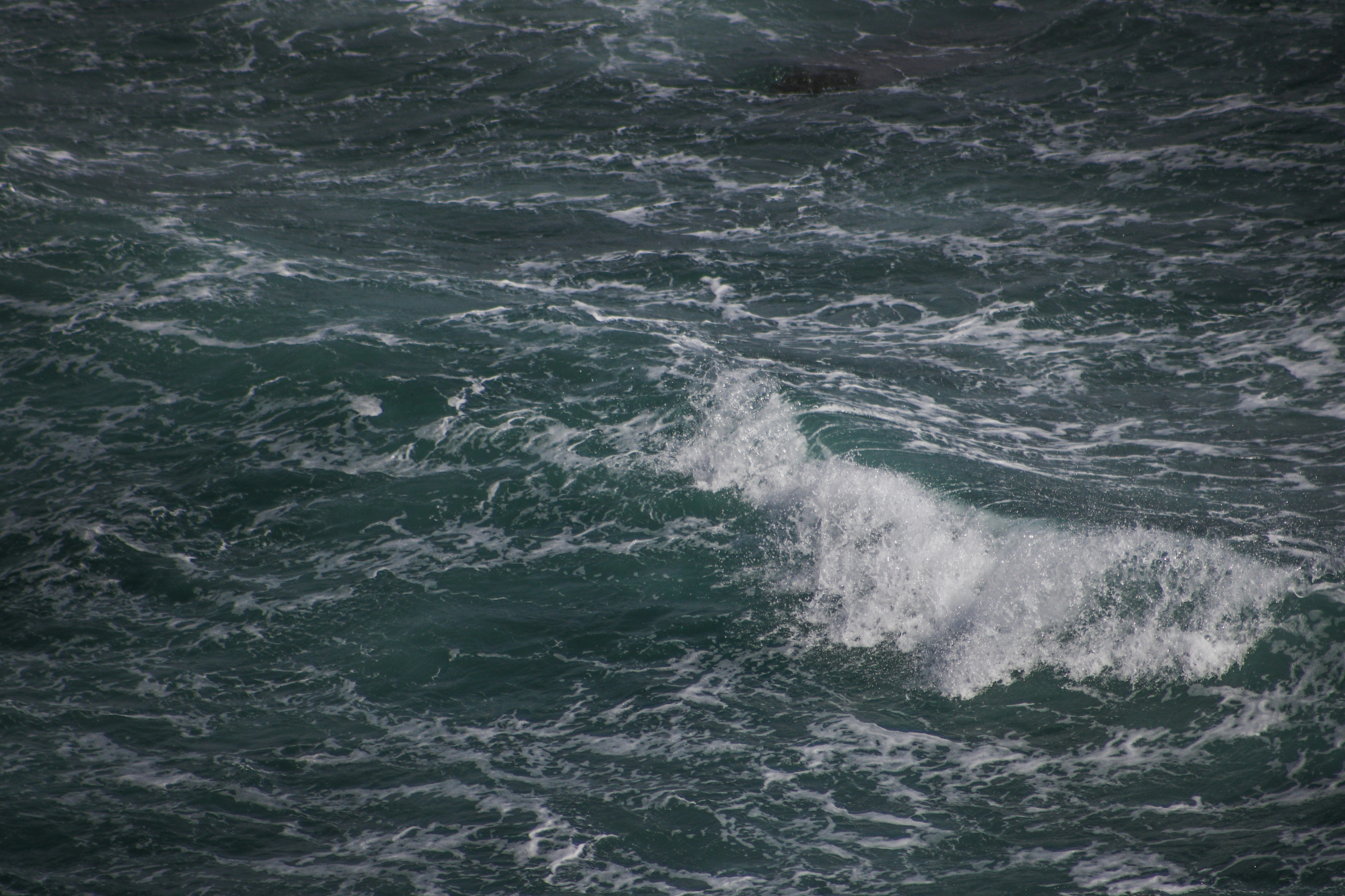 Photo by focalinsight