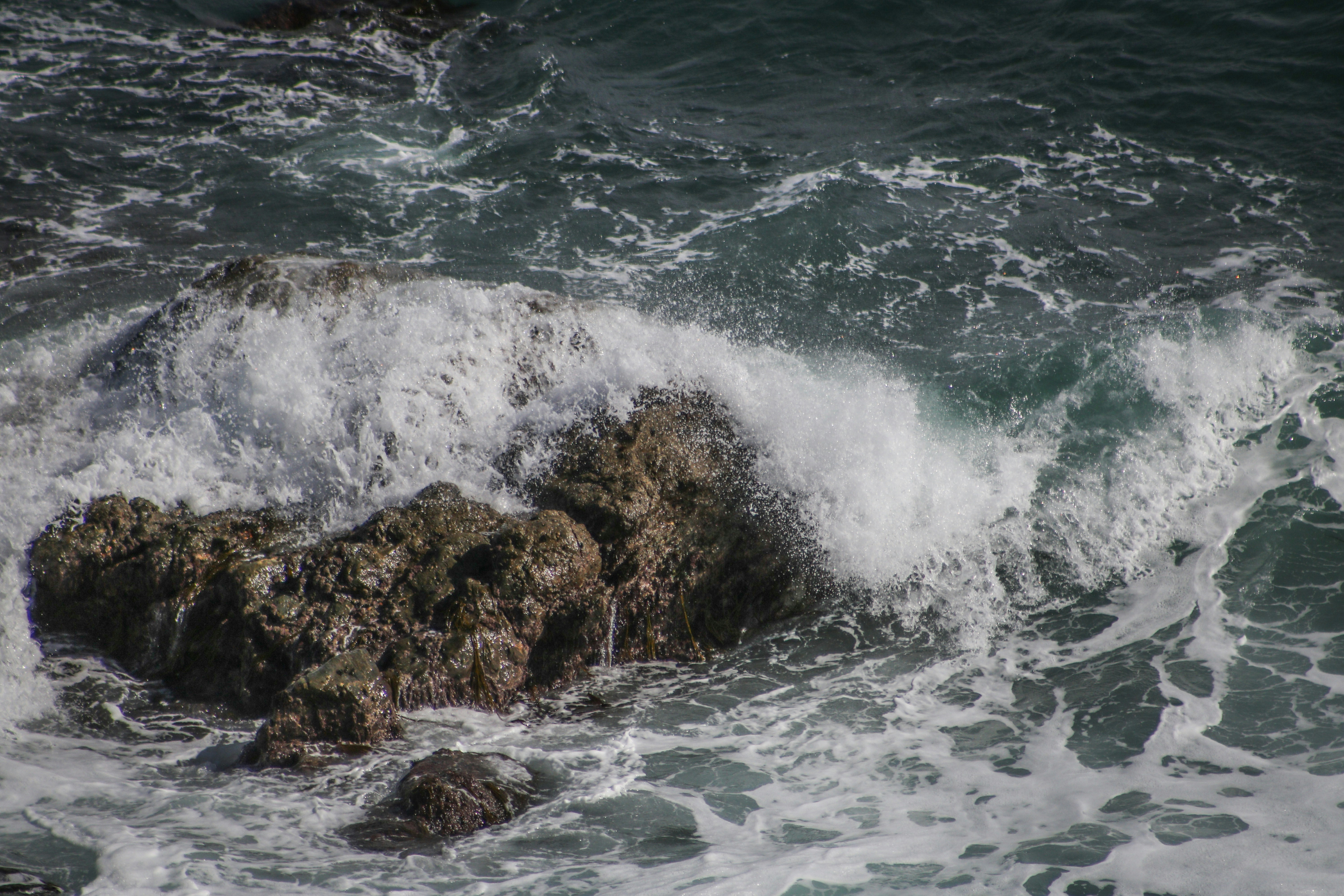 Photo by focalinsight