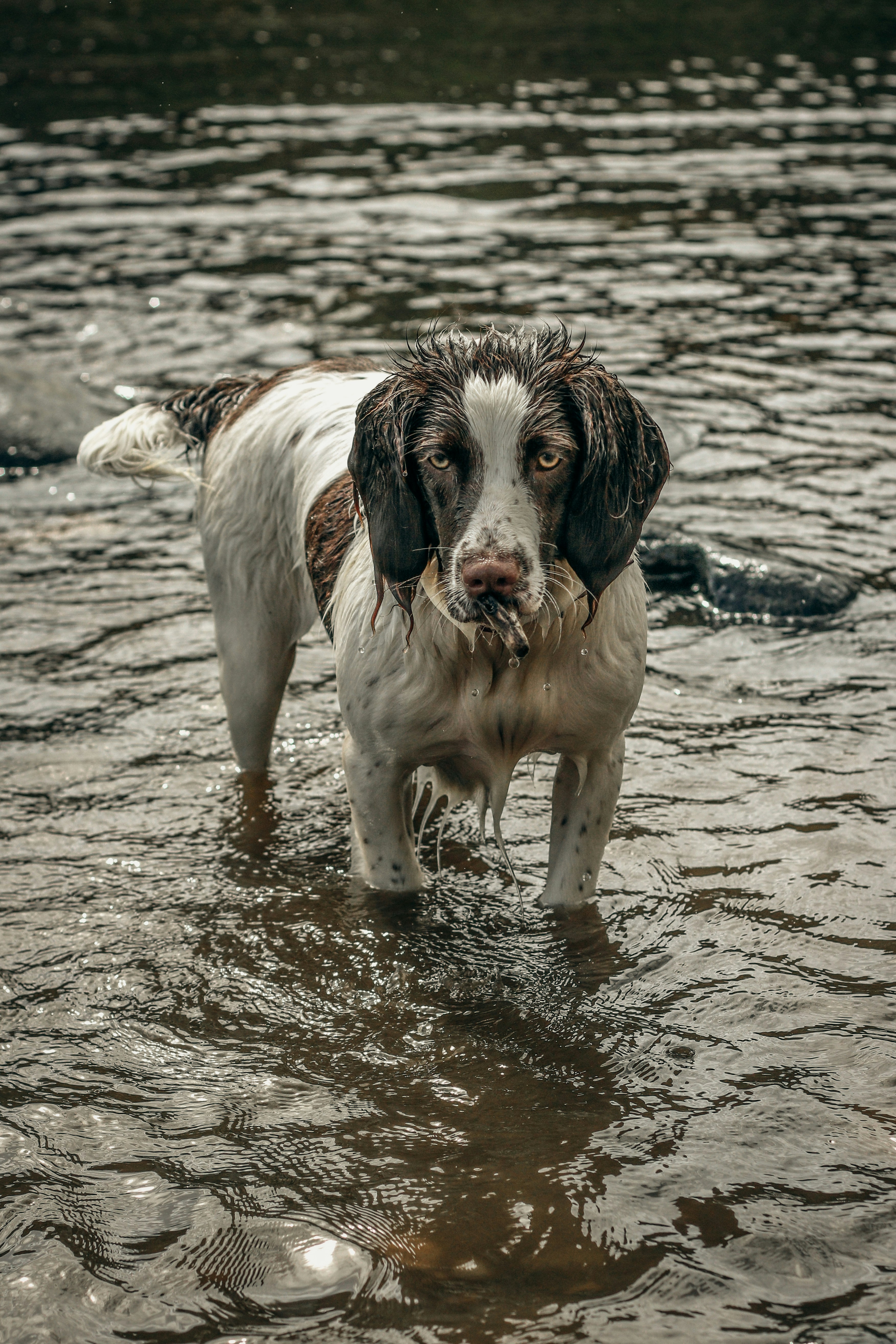 Photo by focalinsight