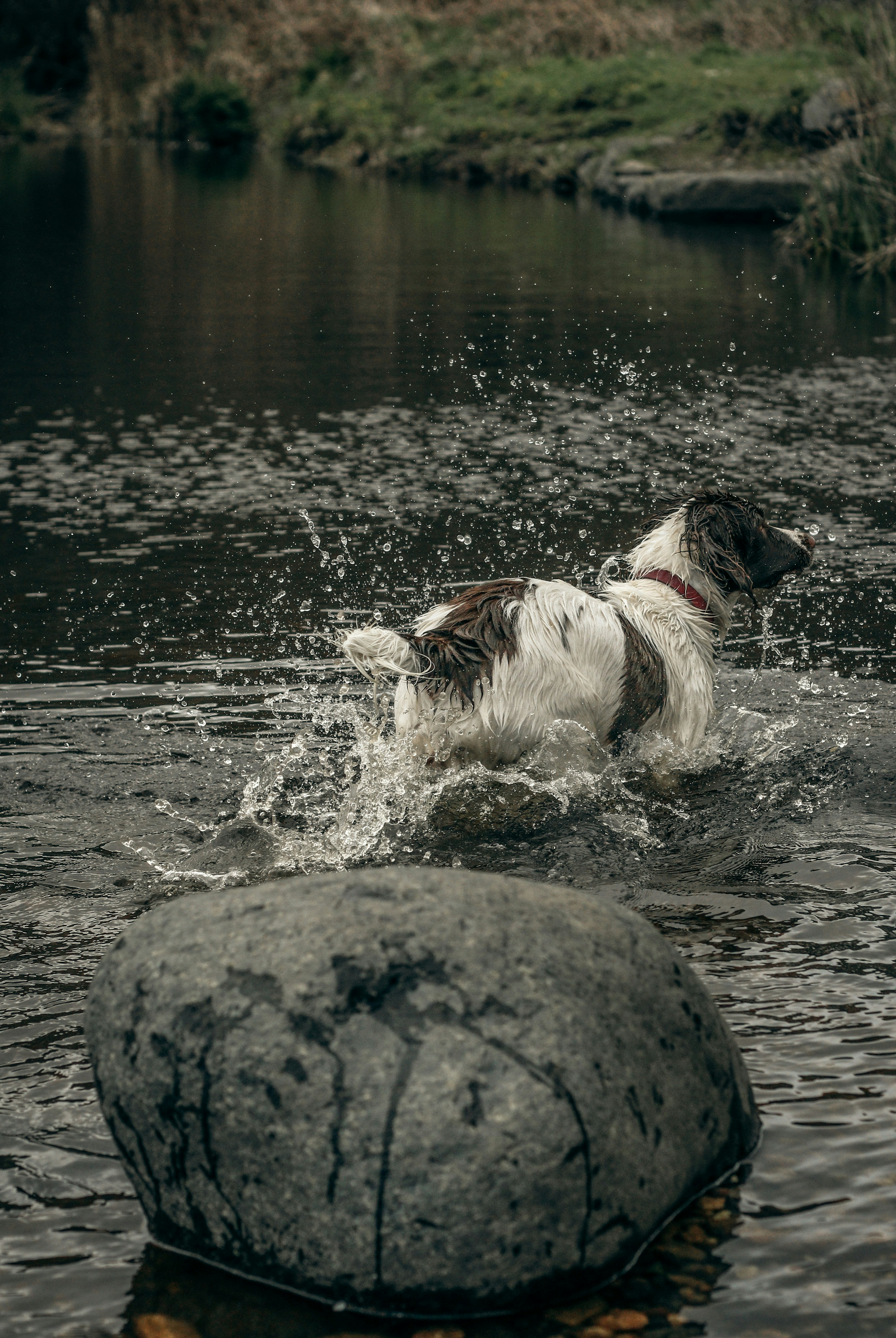 Photo by focalinsight