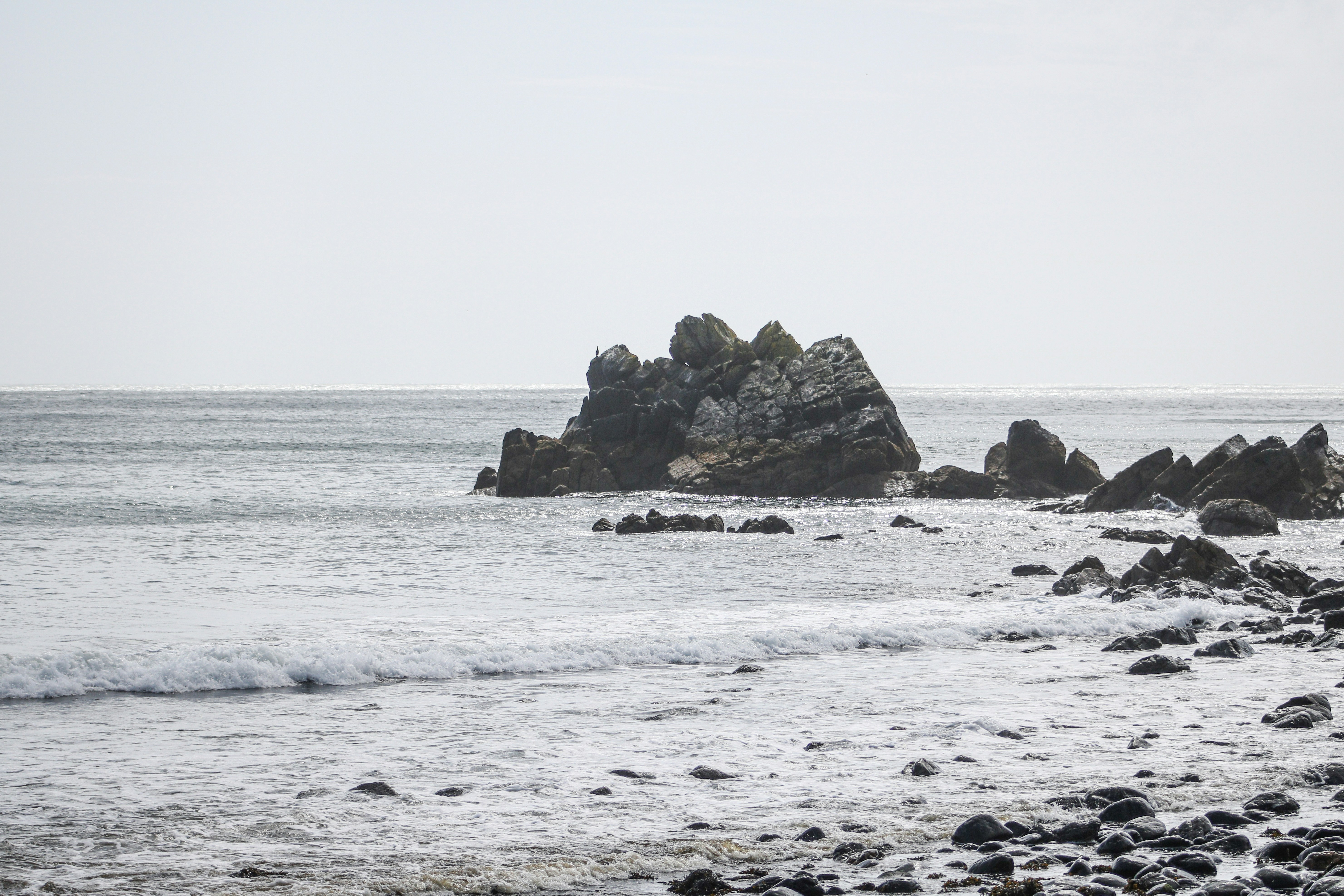 Photo by focalinsight