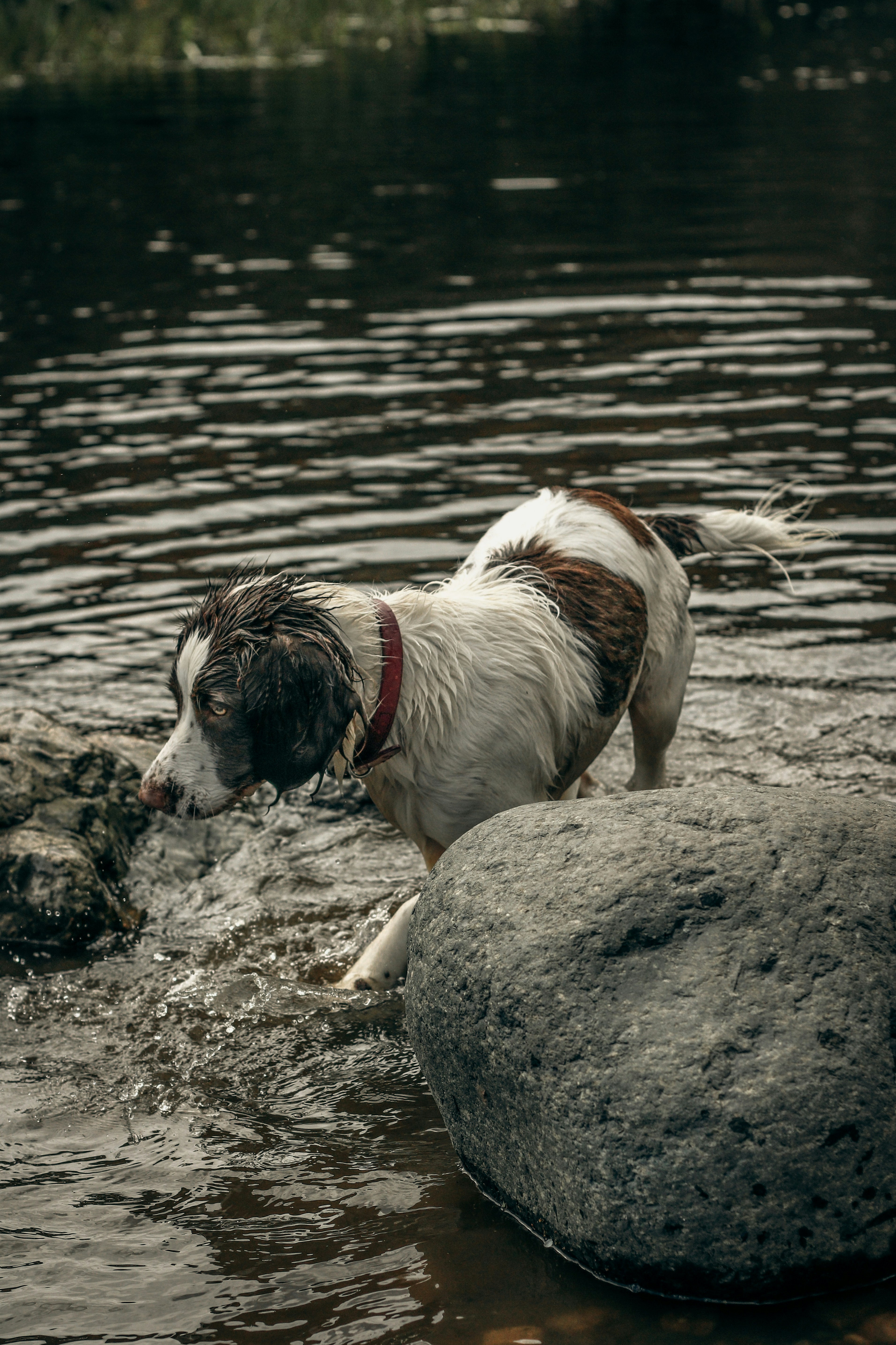 Photo by focalinsight