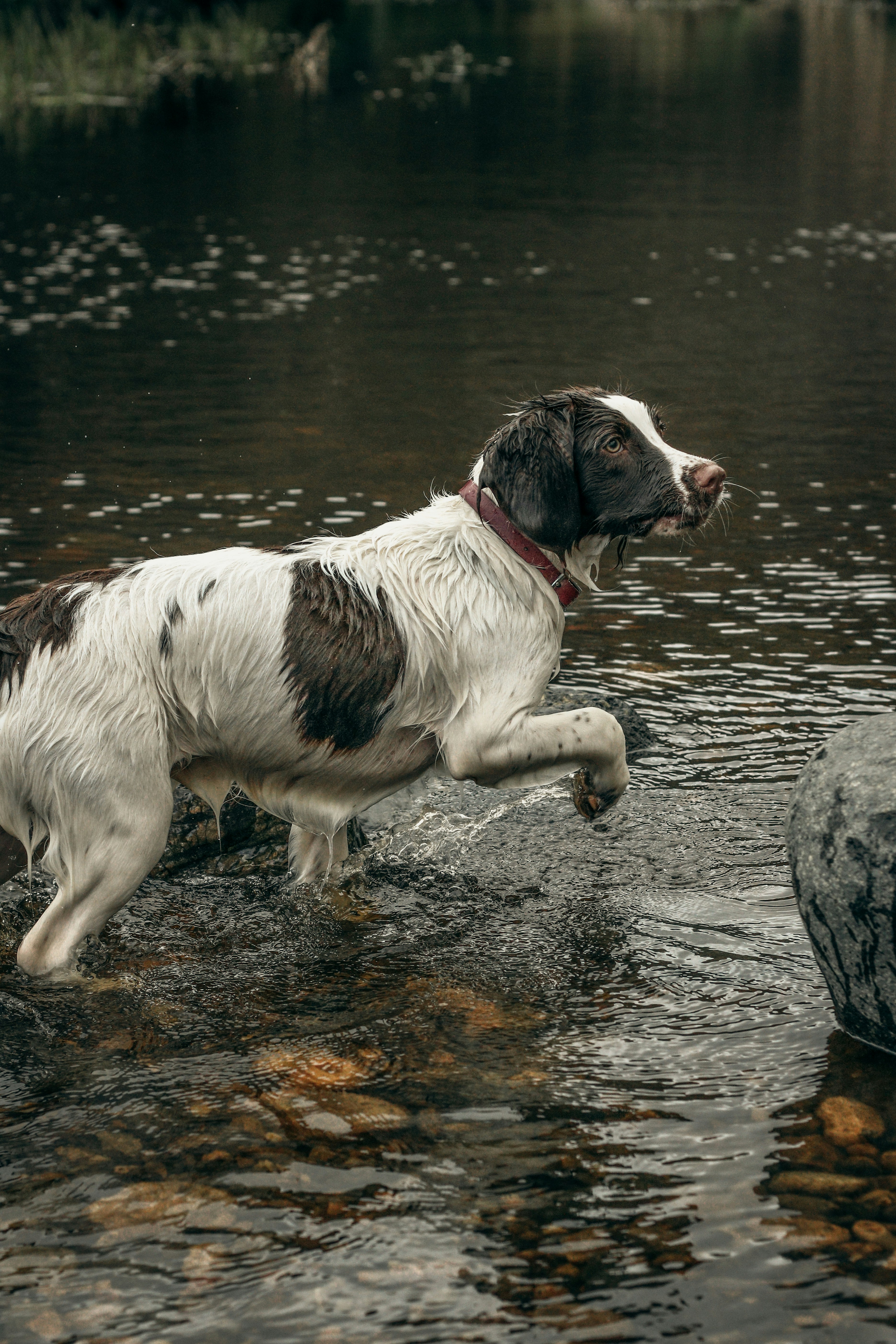 Photo by focalinsight