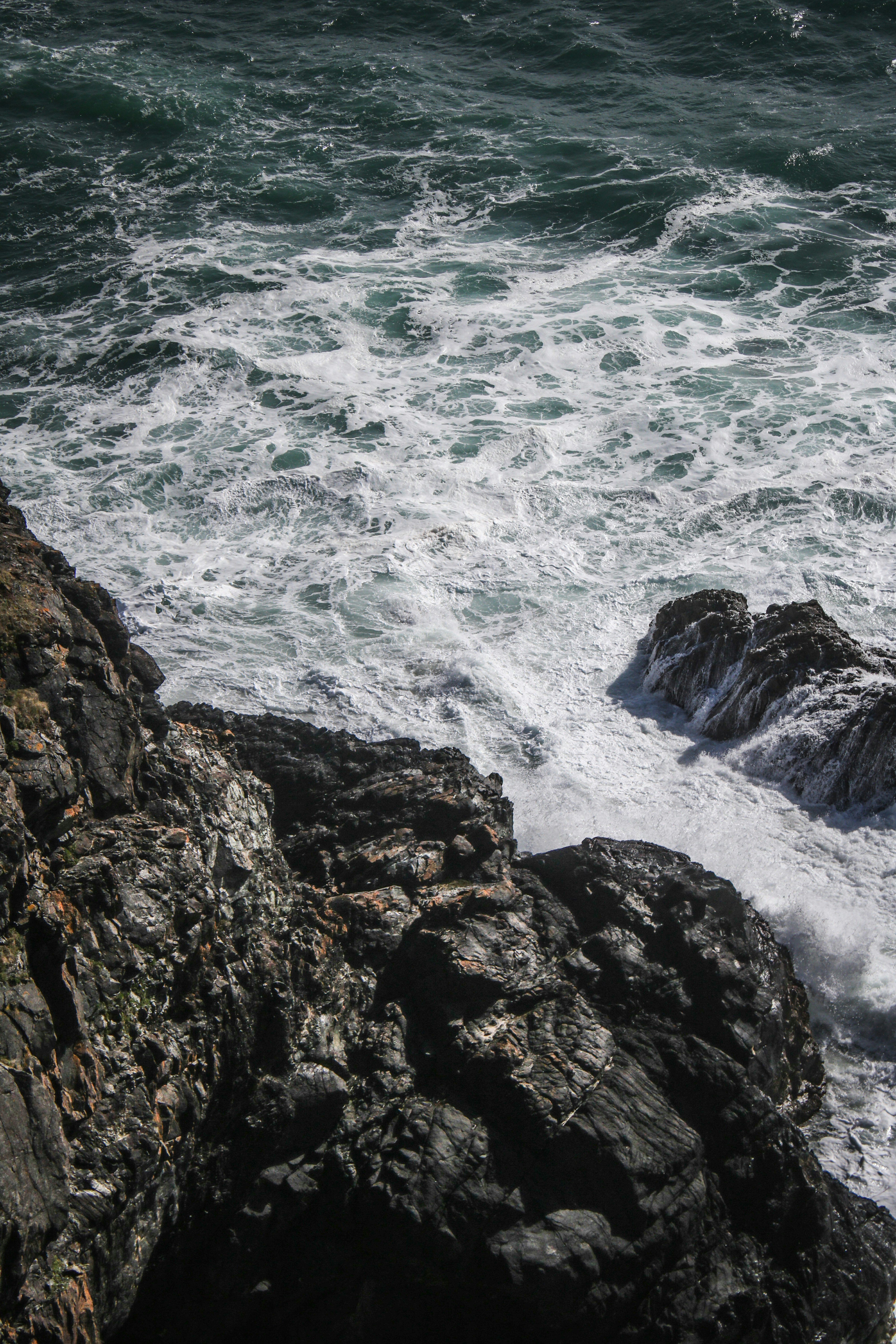 Photo by focalinsight