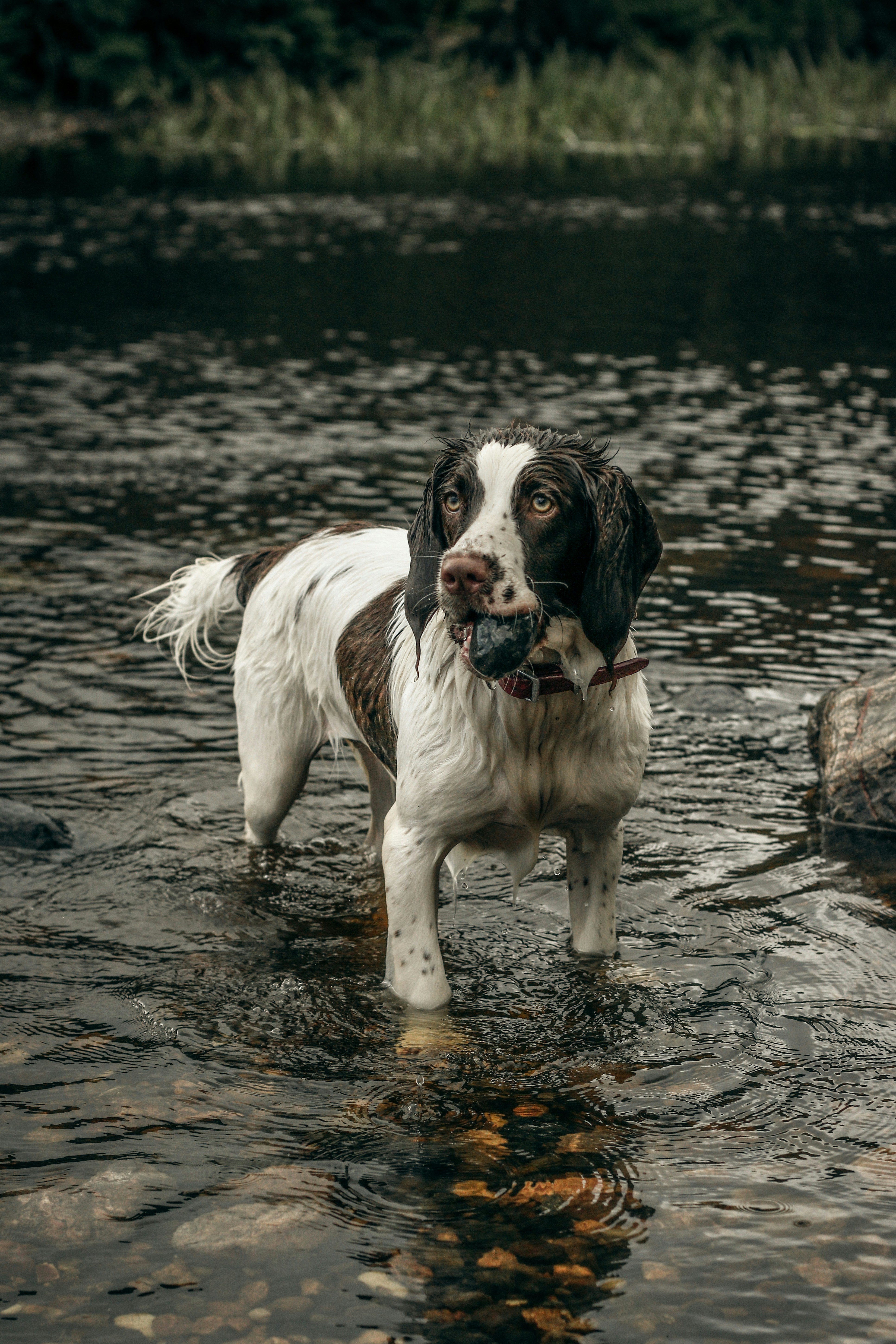 Photo by focalinsight