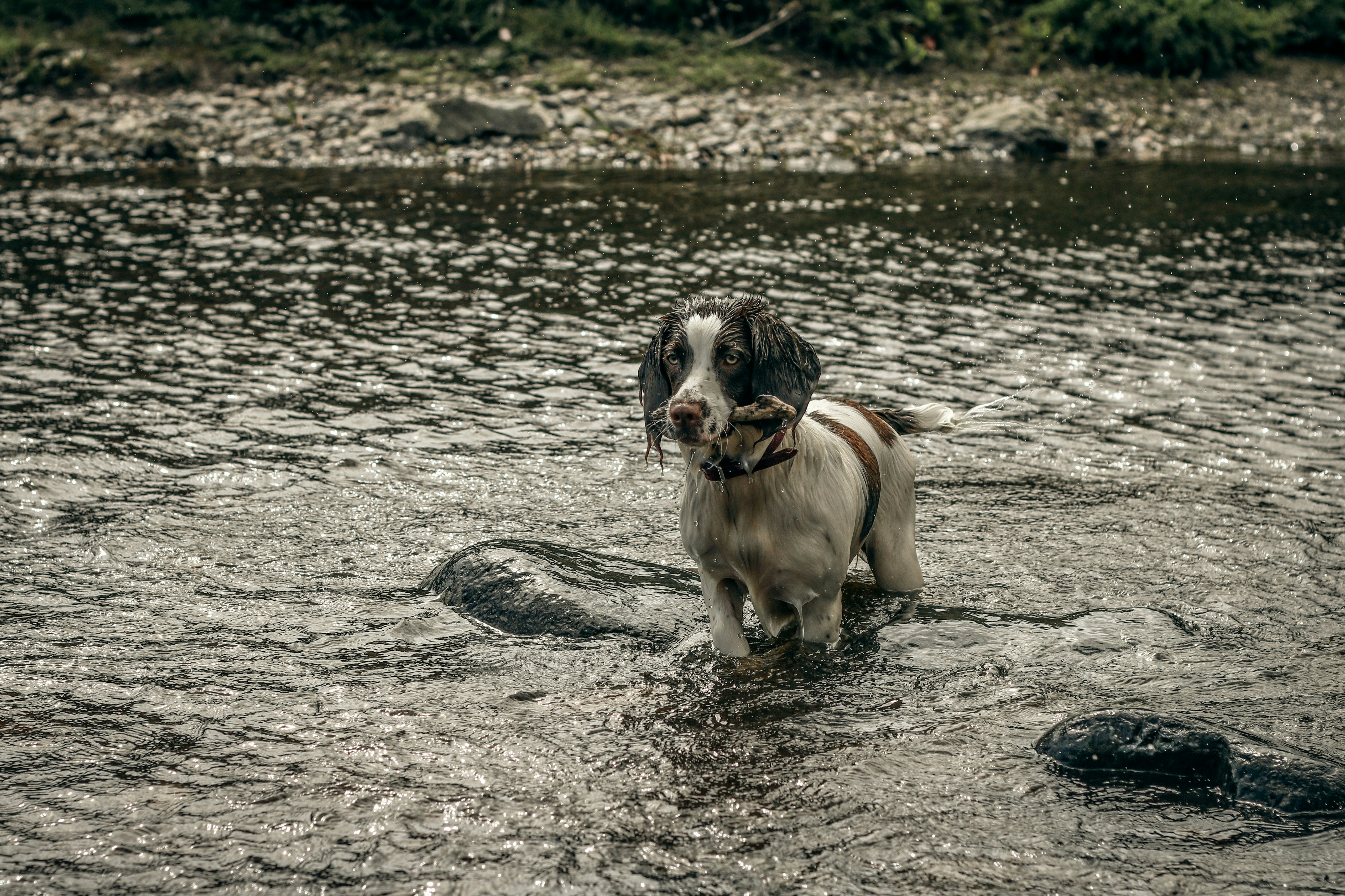 Photo by focalinsight