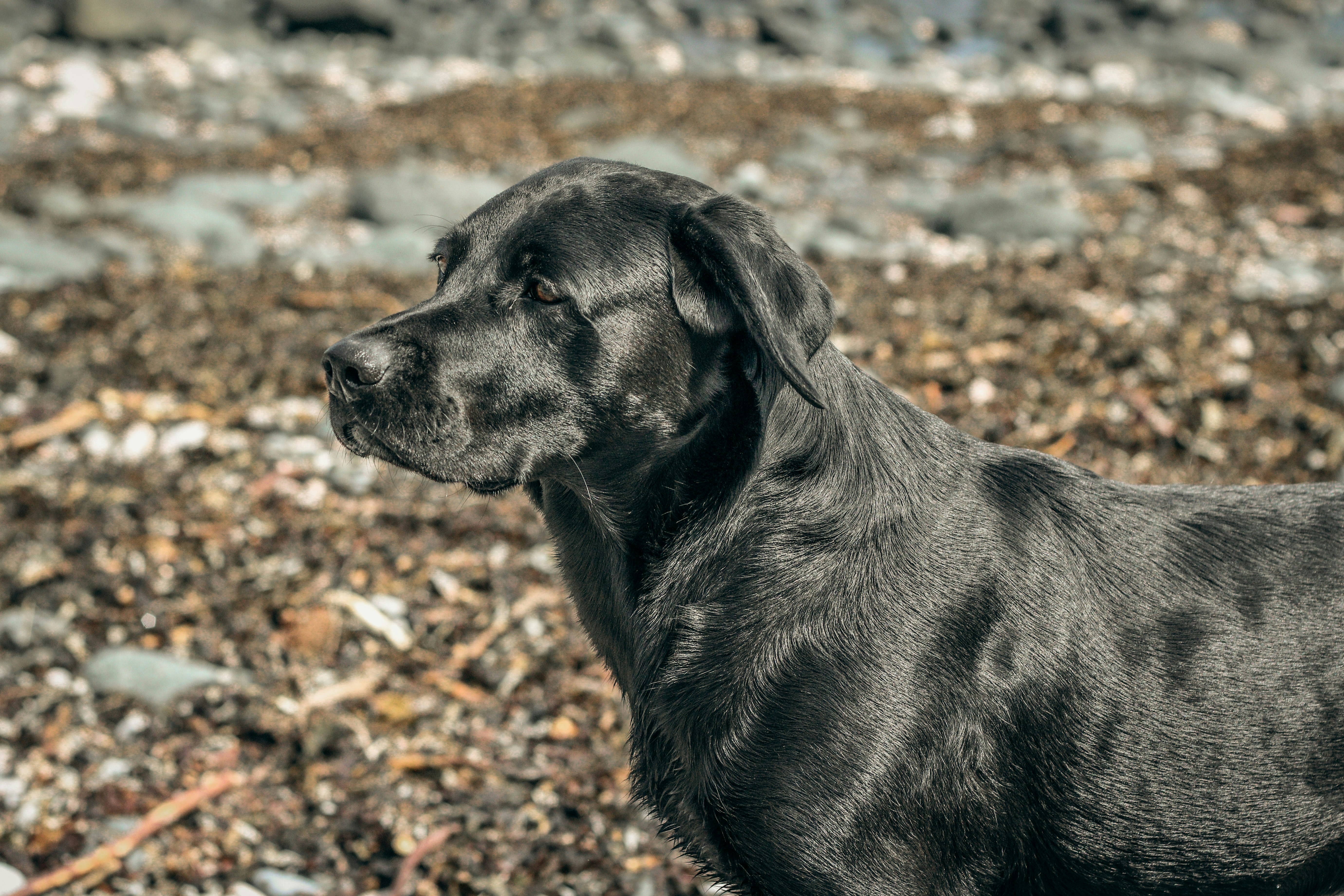 Photo by focalinsight