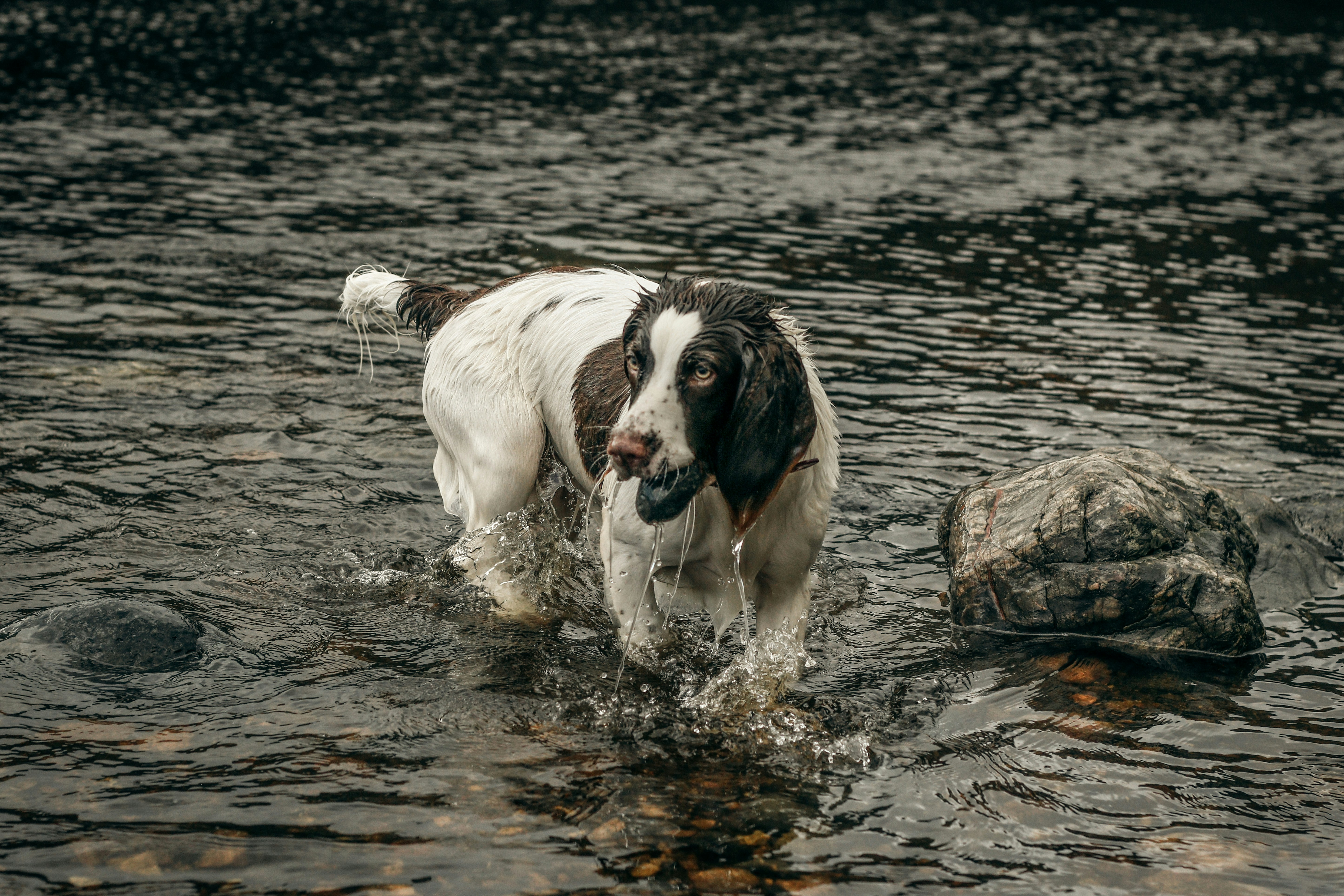 Photo by focalinsight