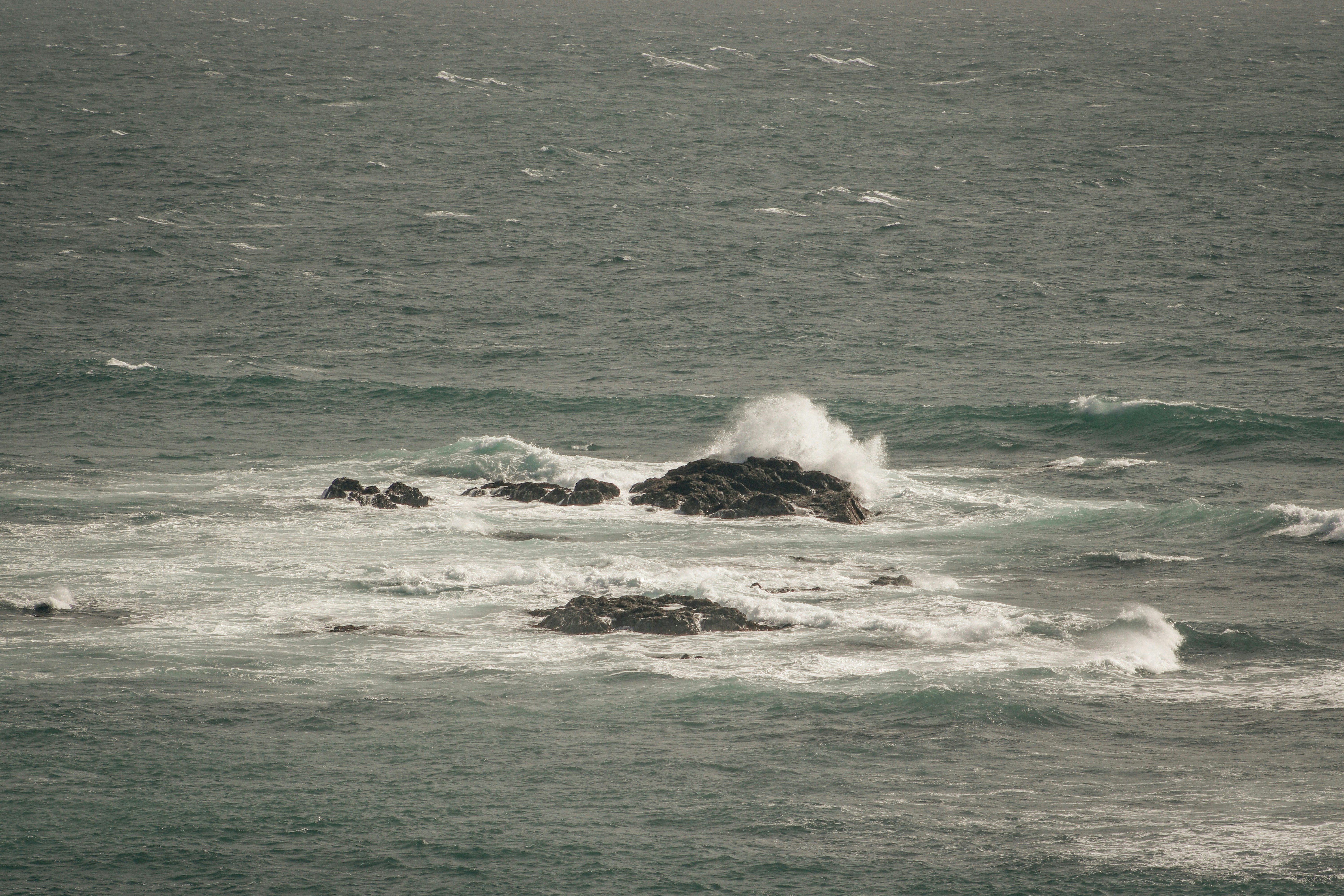 Photo by focalinsight