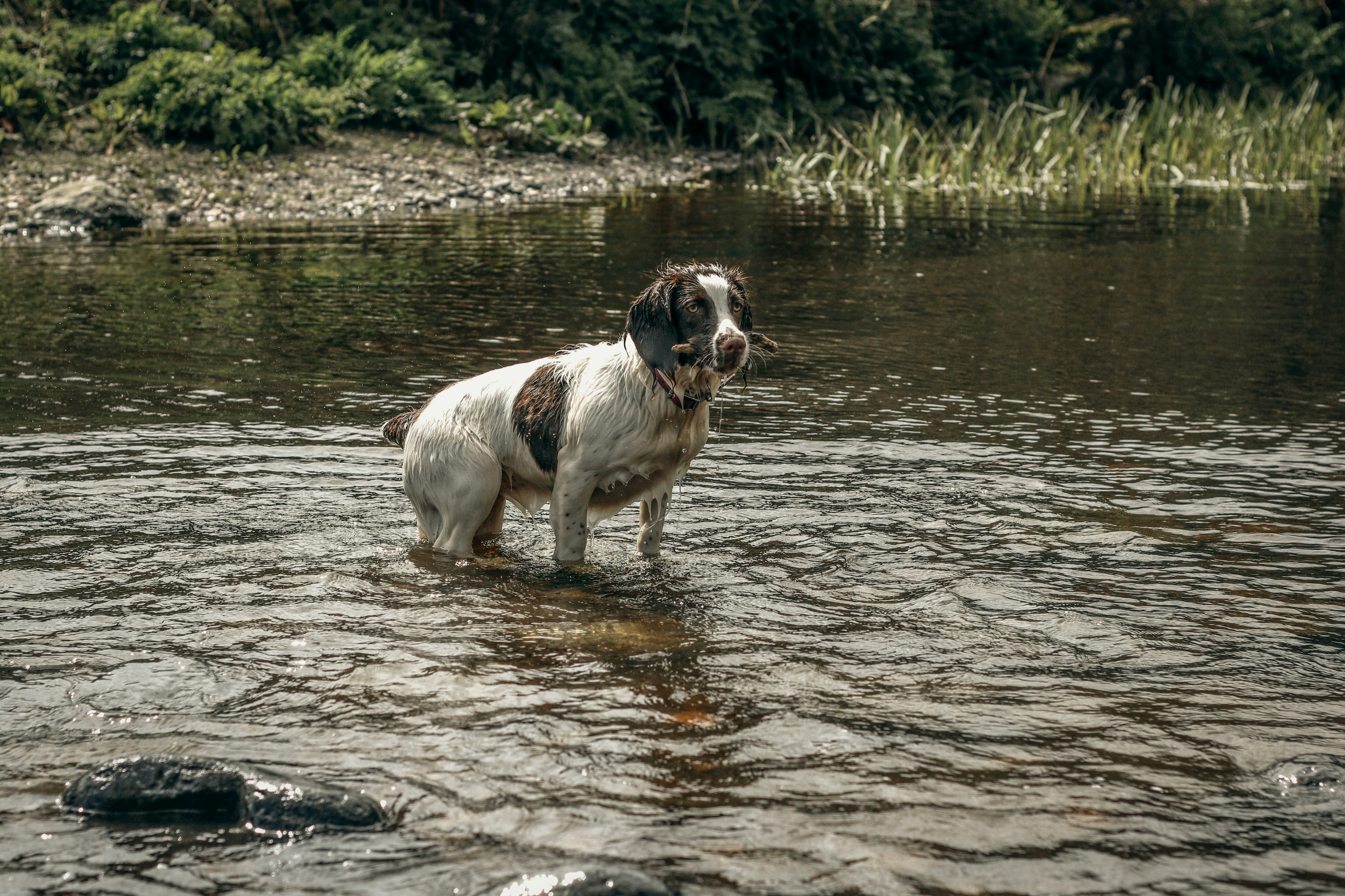 Photo by focalinsight