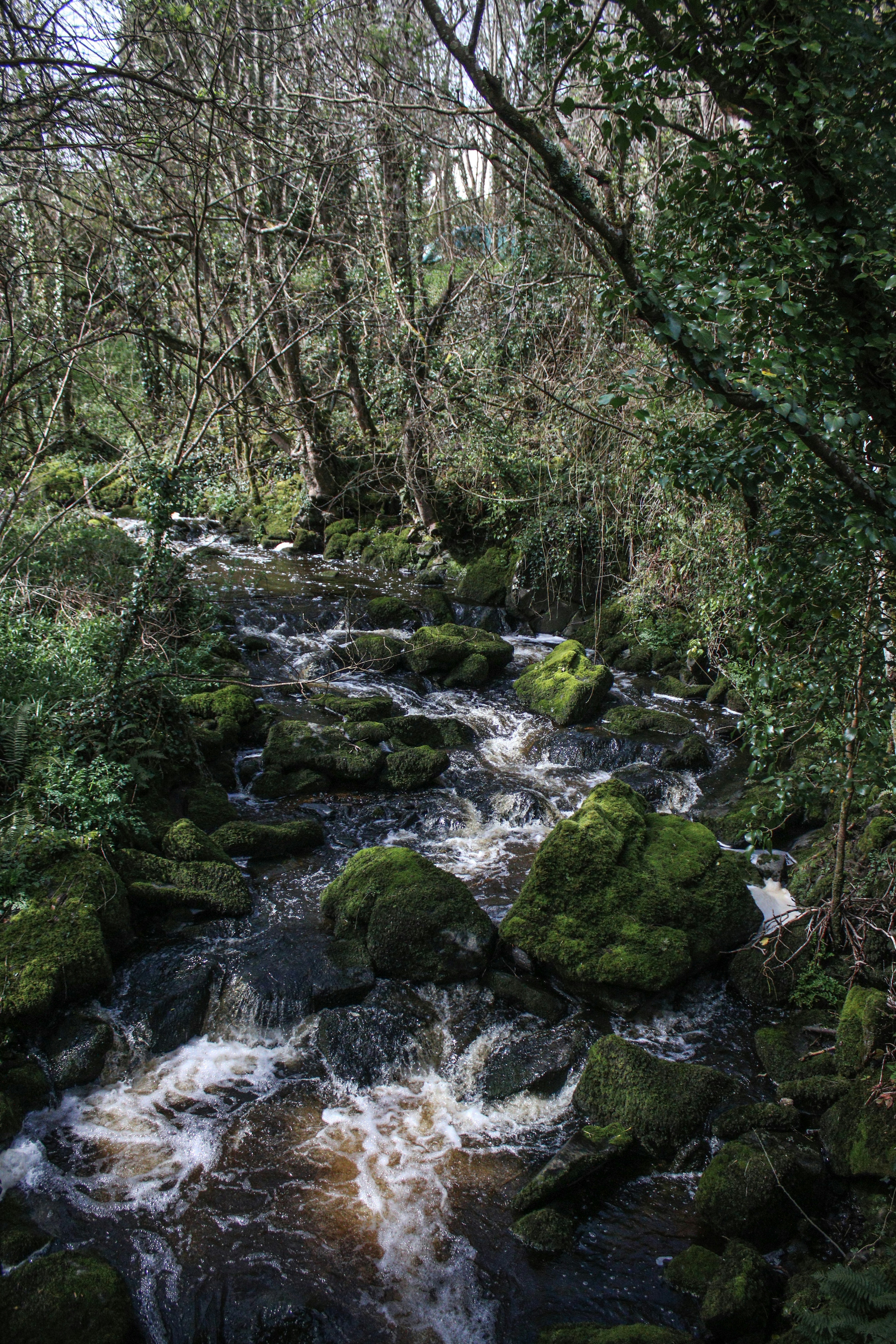 Photo by focalinsight