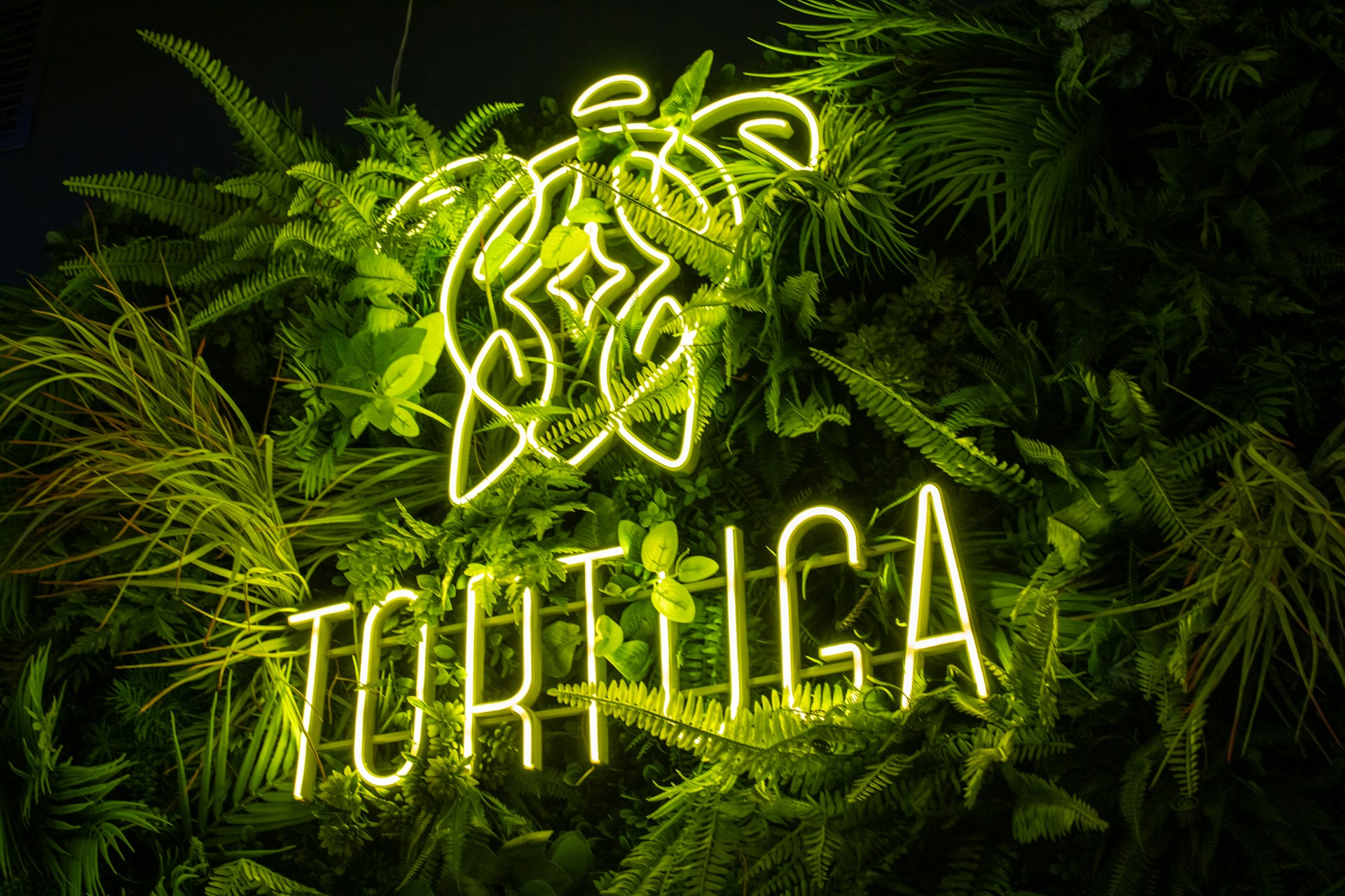 woman wearing yellow long-sleeved dress under white clouds and blue sky during daytime