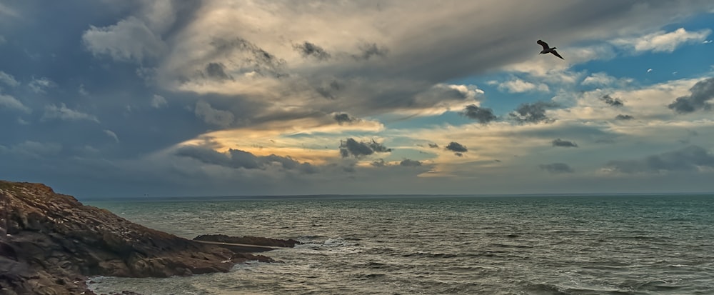 a bird flying over the ocean under a cloudy sky