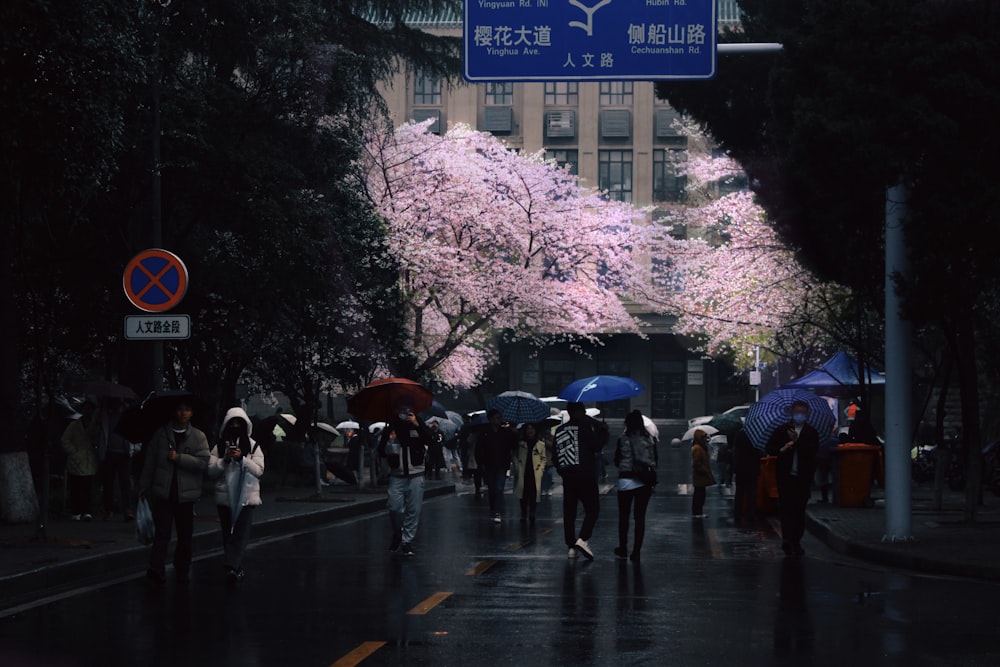 Un grupo de personas caminando por una calle con paraguas