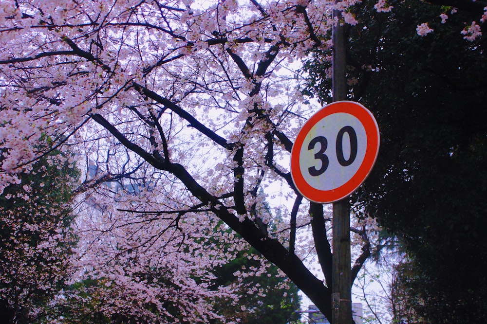 a red and white speed limit sign sitting next to a tree