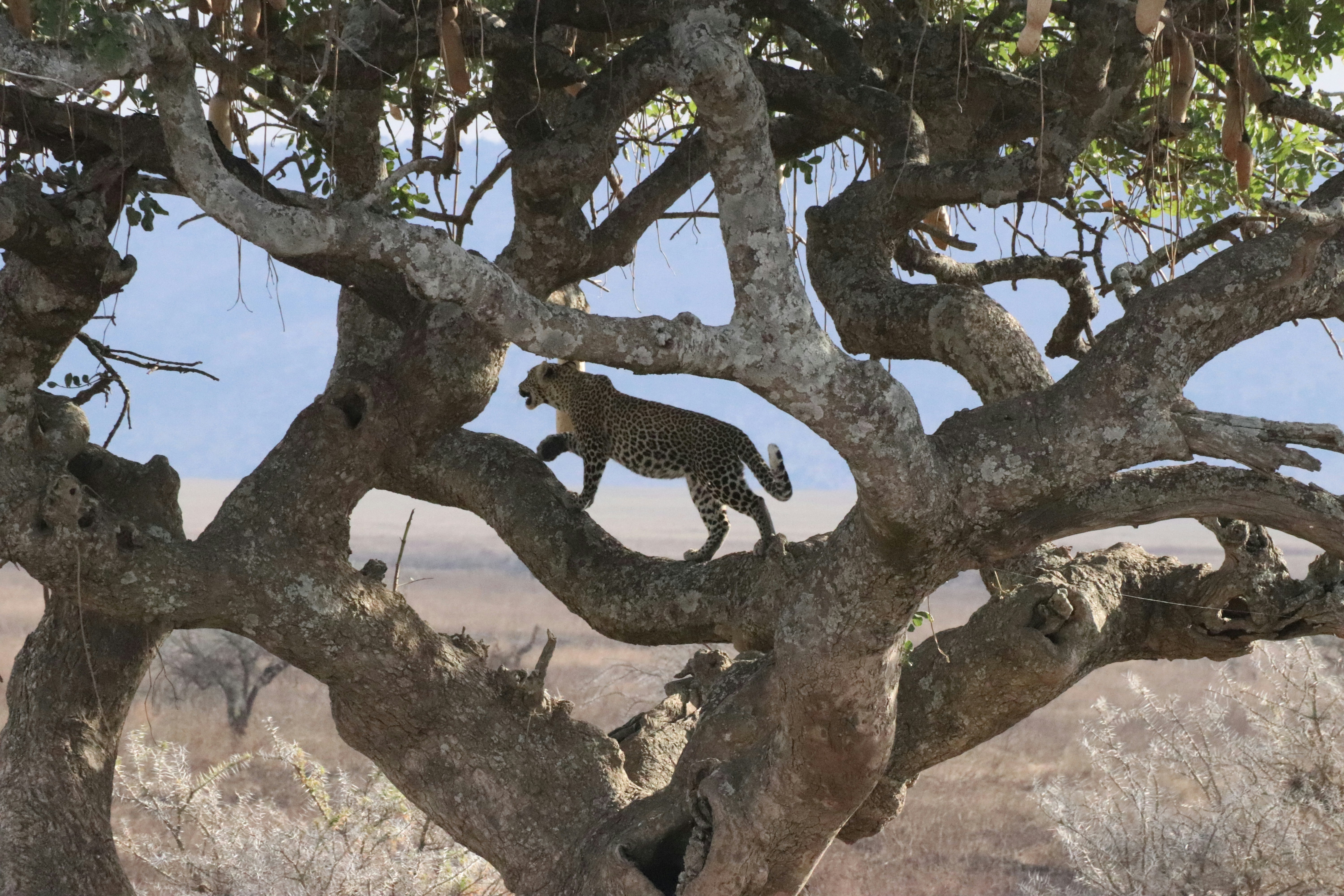 Photo by stijnvandenberg