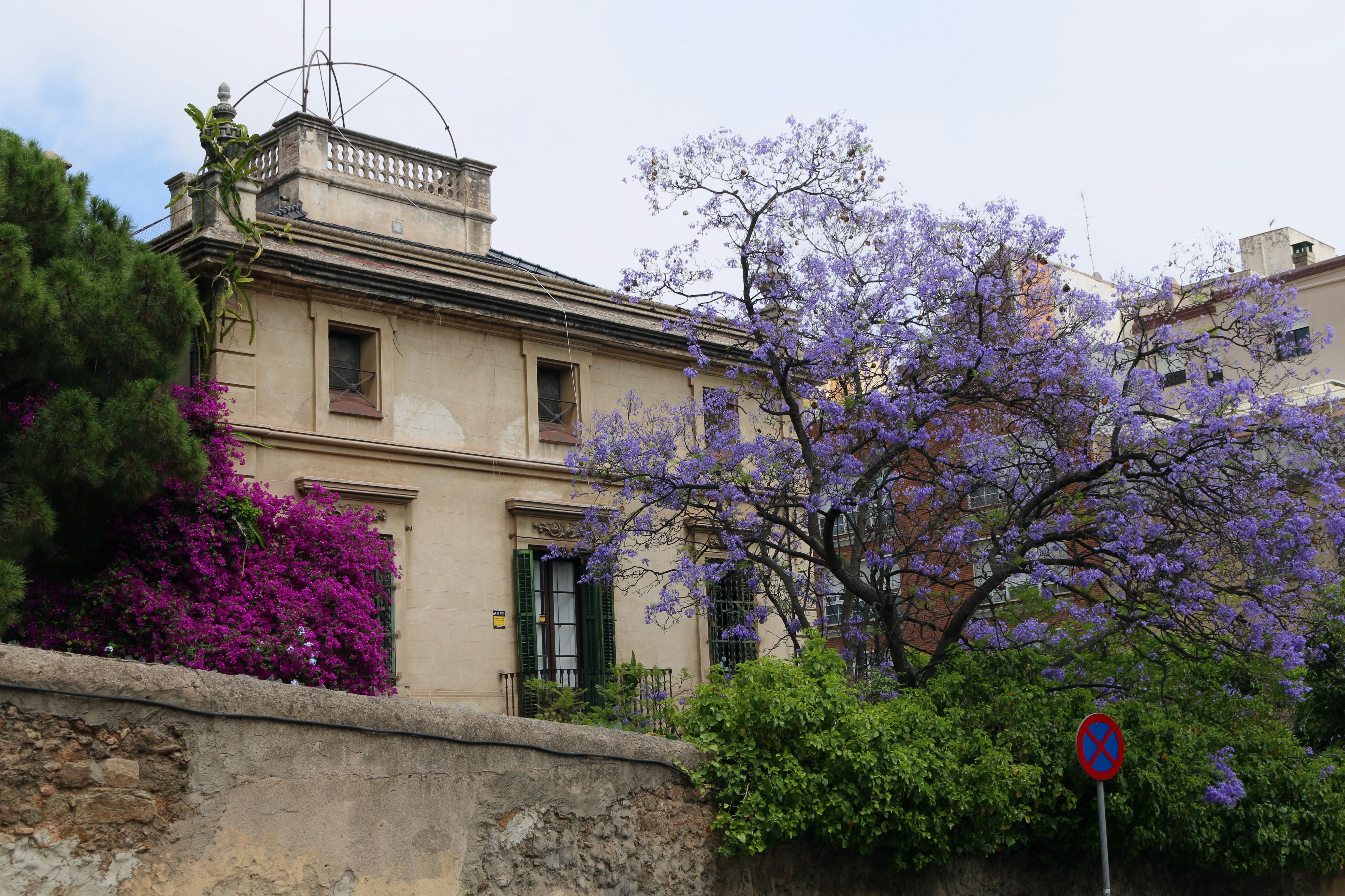 a building with purple flowers in front of it
