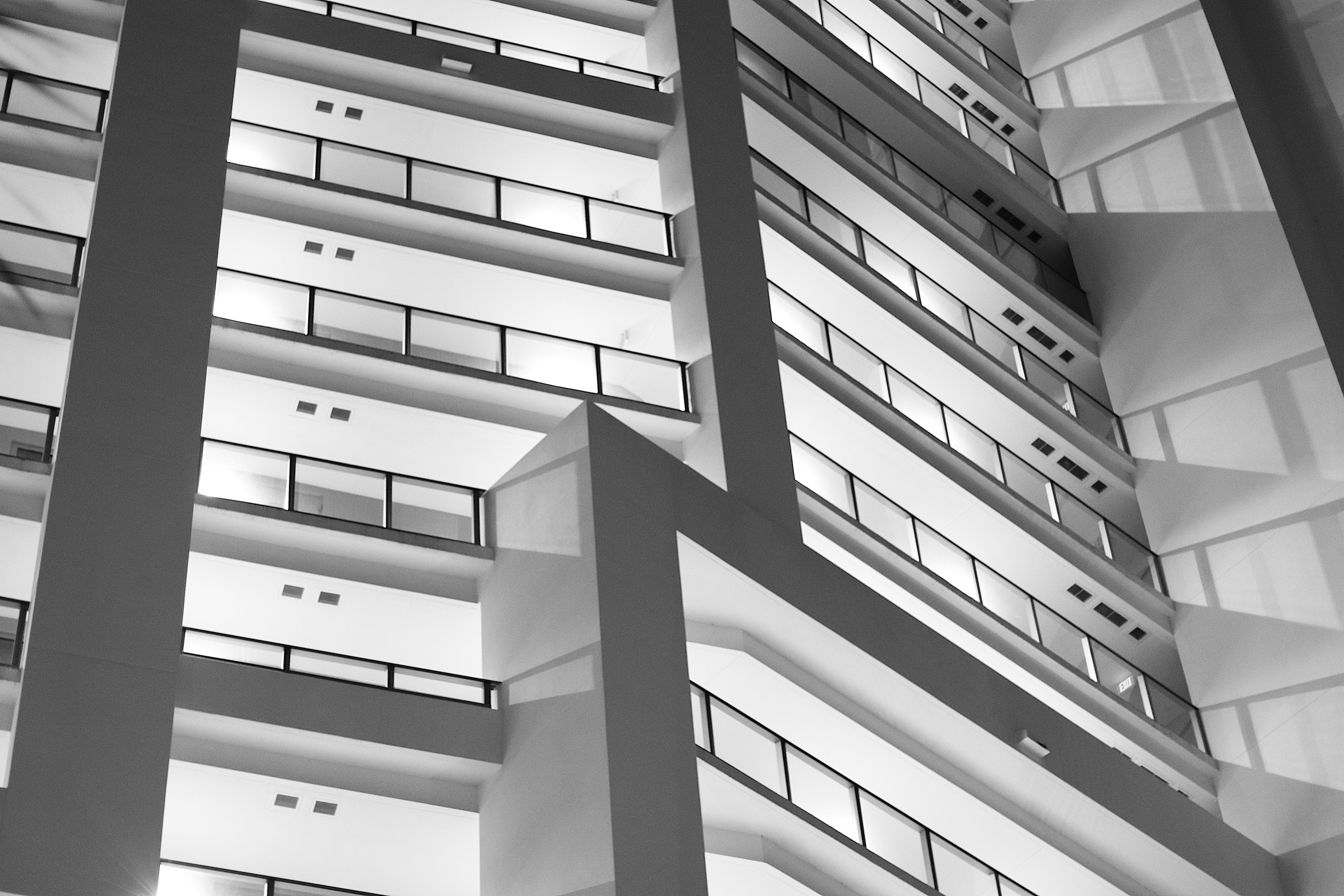 Photo by goosepicklefire