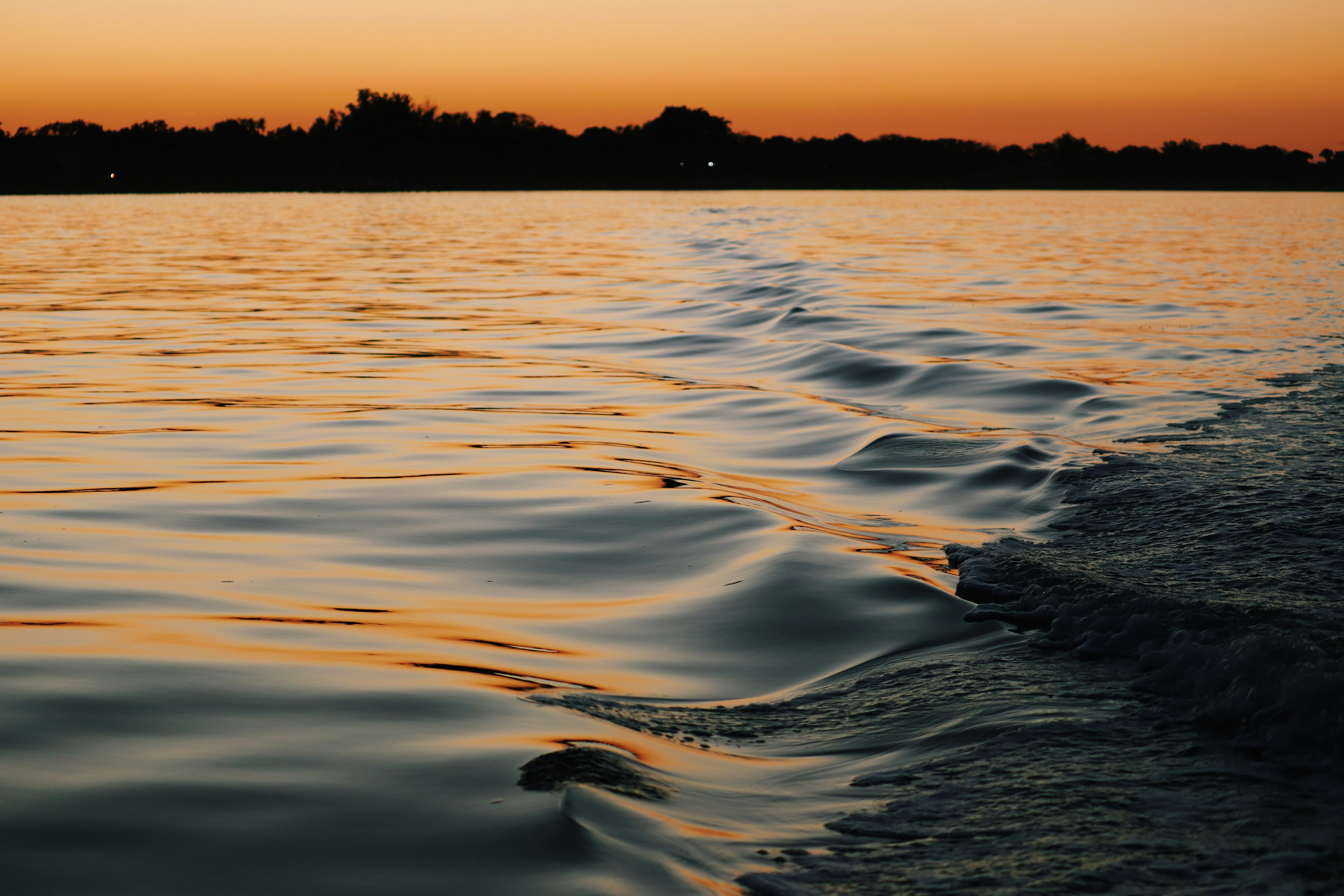 Photo by goosepicklefire