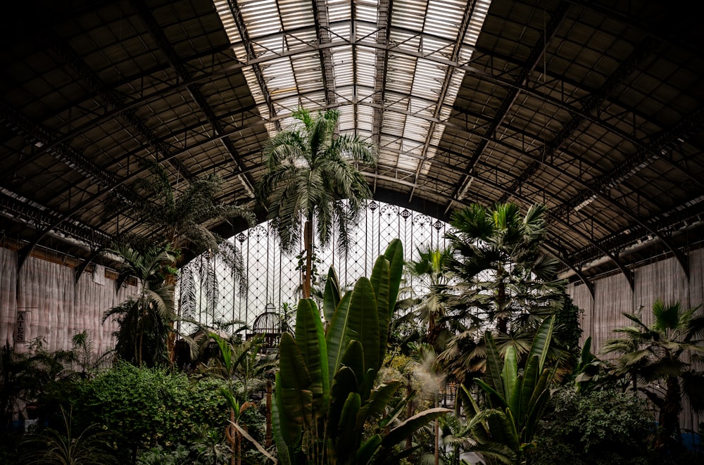 Un très grand bâtiment avec beaucoup de plantes à l’intérieur