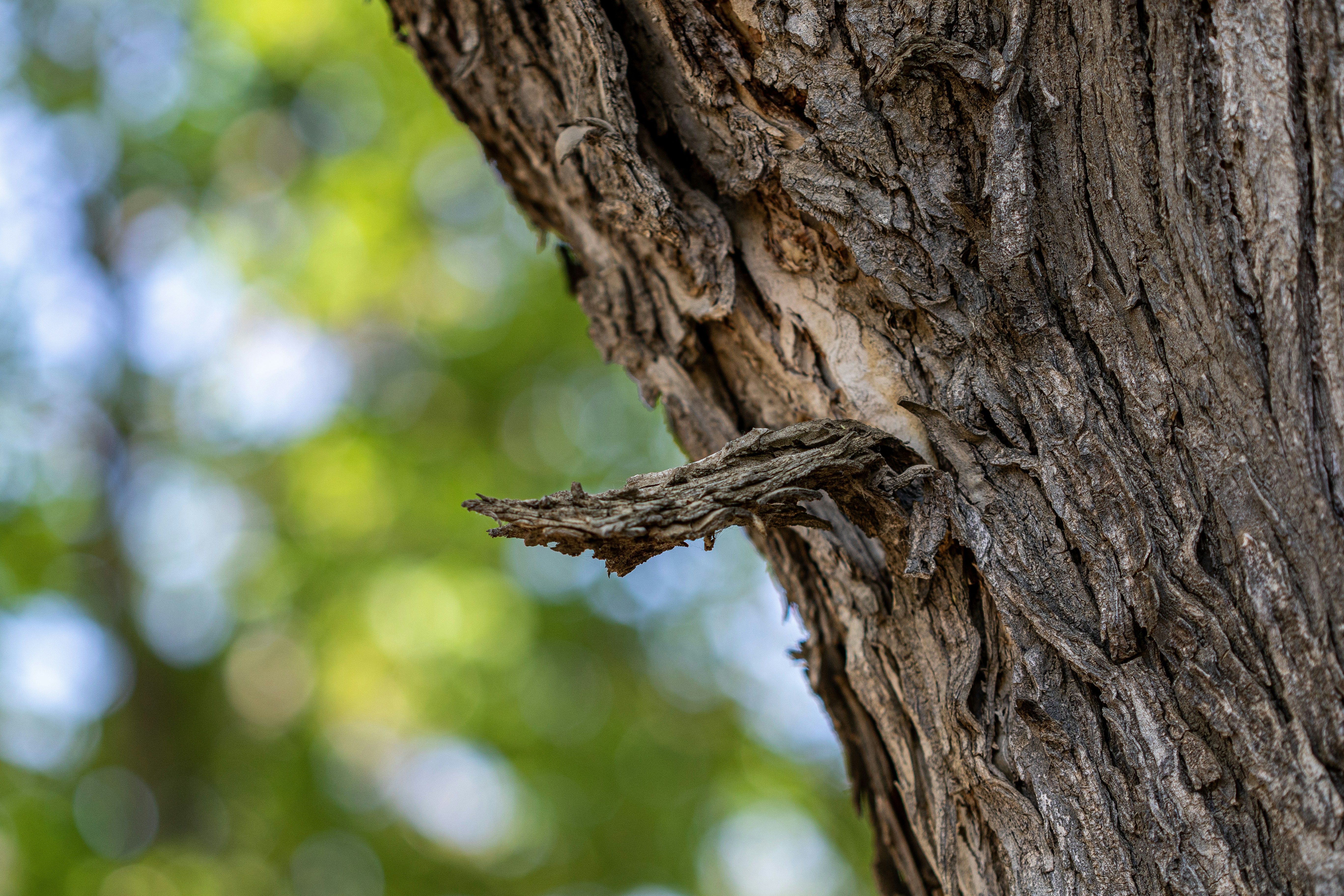 Photo by photo_tanbir