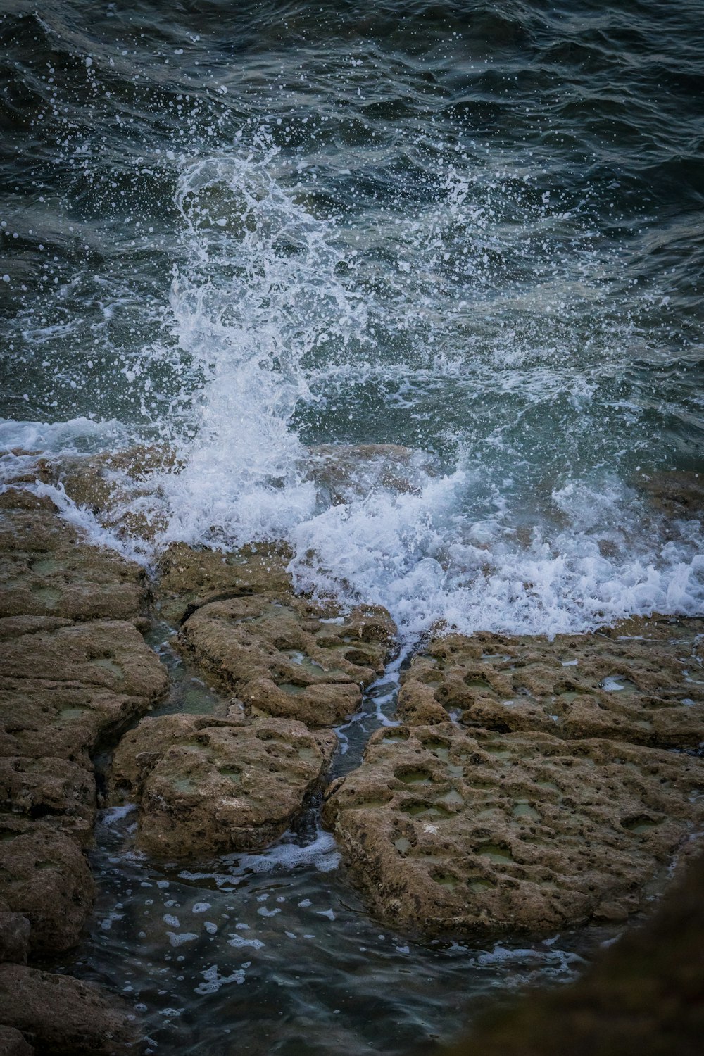 a bird is standing on the rocks by the water