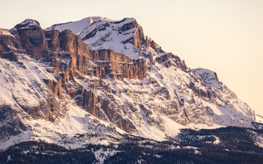 a snow covered mountain with a few trees in the foreground