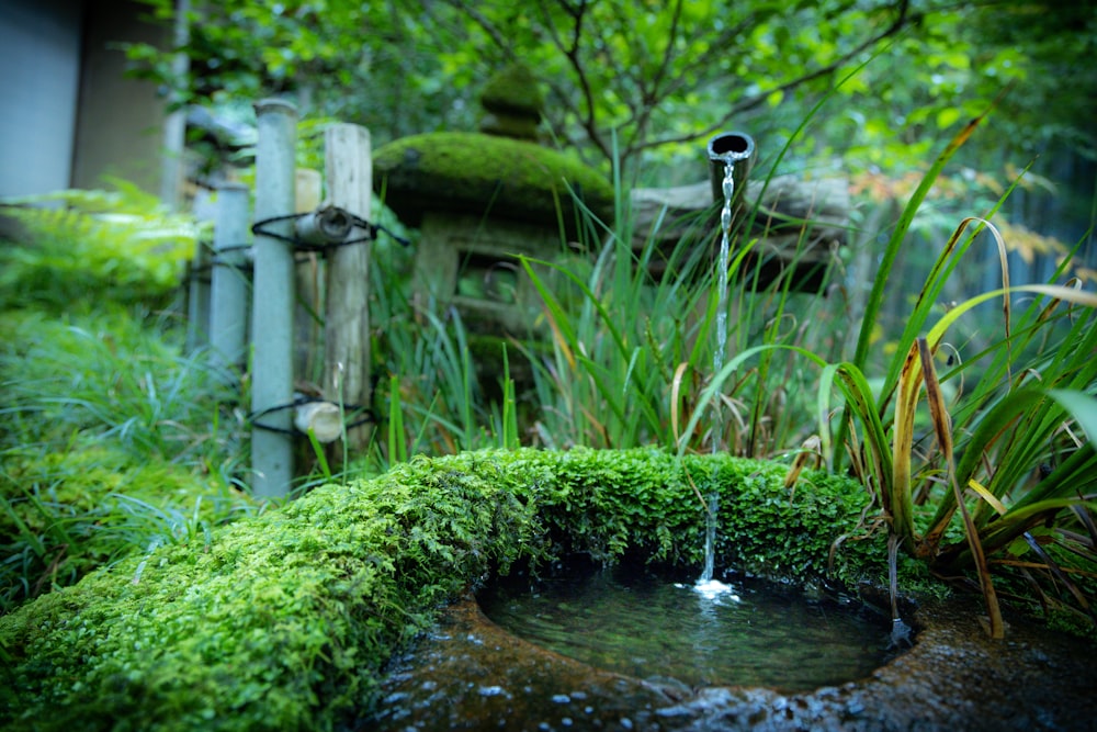 un jardín con una fuente en el medio de ella