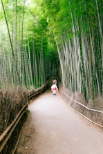 A pathway leading through a dense bamboo forest with two people walking away. The bamboo stalks rise high on either side, creating a natural canopy with lush green foliage above. The path is bordered by a rustic wooden fence and has a peaceful, serene atmosphere.