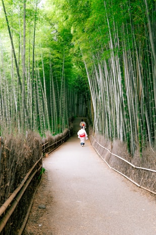 A pathway leading through a dense bamboo forest with two people walking away. The bamboo stalks rise high on either side, creating a natural canopy with lush green foliage above. The path is bordered by a rustic wooden fence and has a peaceful, serene atmosphere.