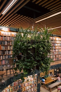 A hanging indoor plant installation with lush green foliage is positioned in front of a large bookshelf filled with a diverse range of books. The setting resembles a library or study space, with a wooden ceiling and a table where people are seen working on laptops and reading.