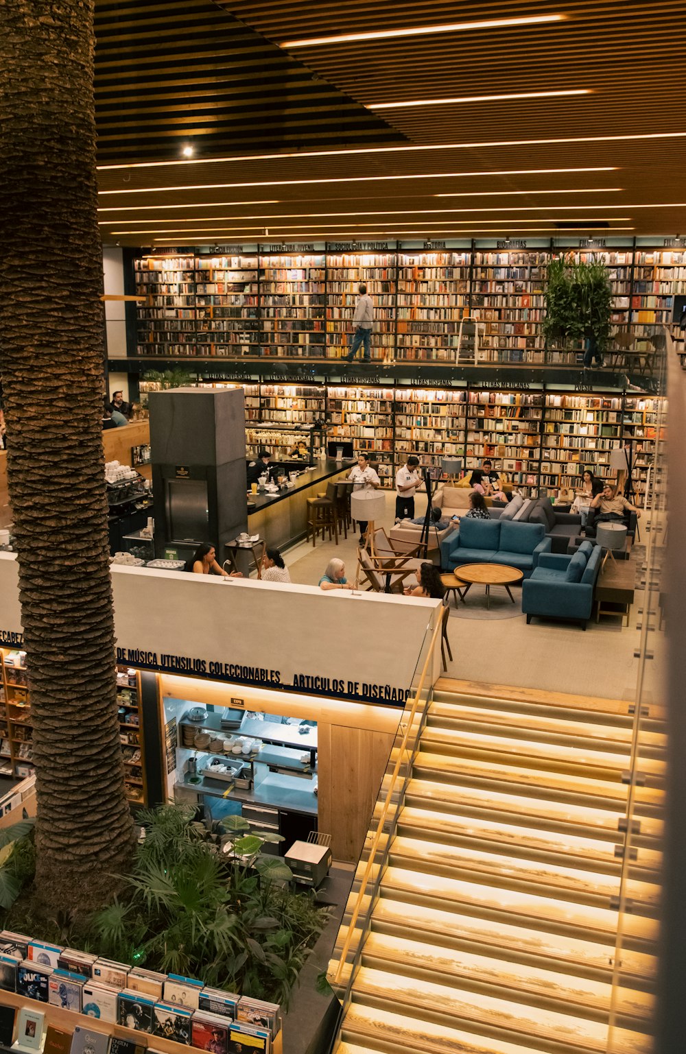 a library filled with lots of books next to a palm tree