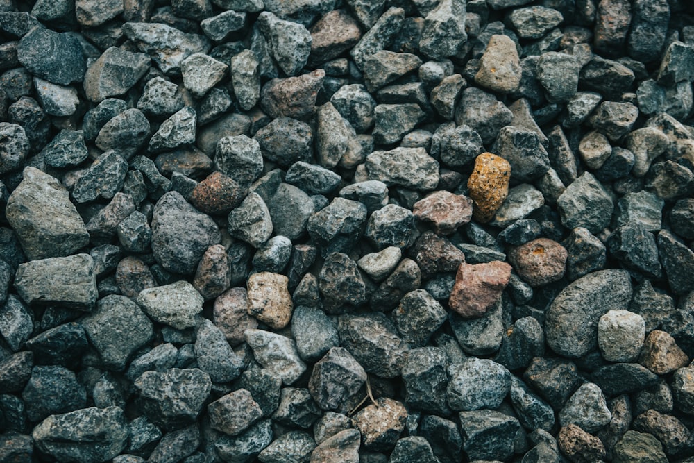 a bunch of rocks that are next to each other