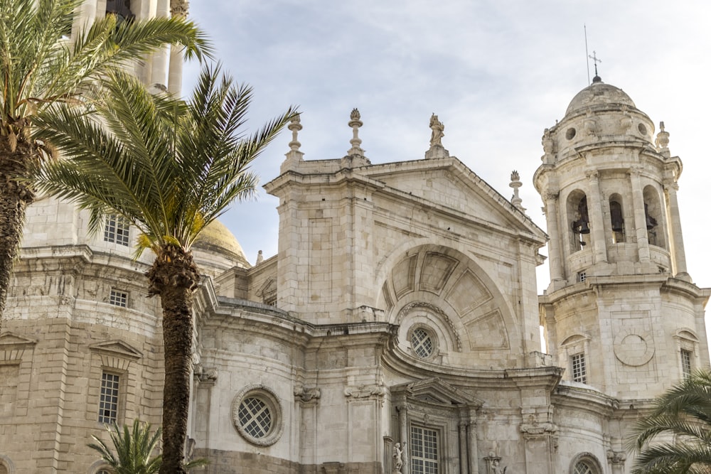 a church with a palm tree in front of it