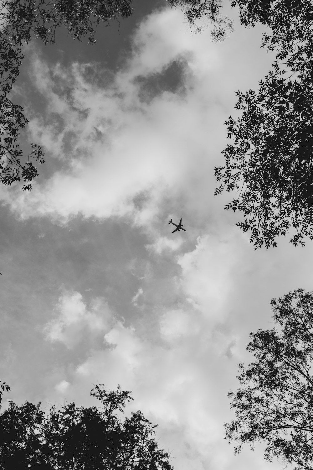 a black and white photo of a plane in the sky