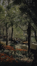 A serene outdoor setting with guests enjoying a guided cannabis tasting surrounded by lush greenery.