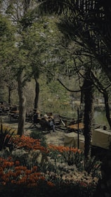 A peaceful garden with comfortable seating surrounded by blooming flowers and trees.