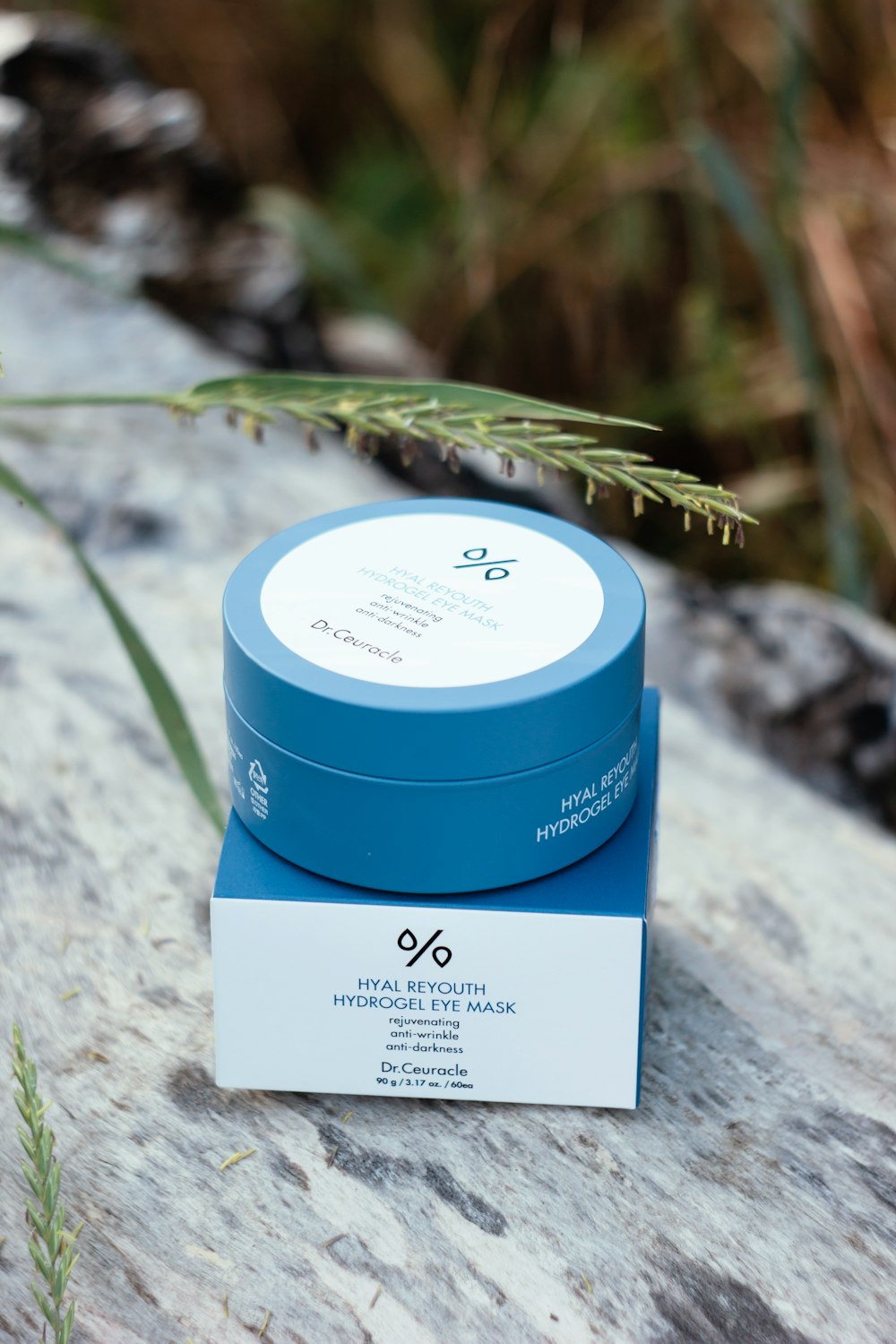 a blue container sitting on top of a rock next to a plant