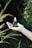 A hand is holding a small green bottle with a dropper cap, surrounded by green foliage in a natural, outdoor setting. The text on the bottle reads 'Original Skin Energy Peptide 500' from the brand 'Mizon'.