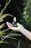 Smiling woman holding a small bottle of natural serum in a bright, green garden setting