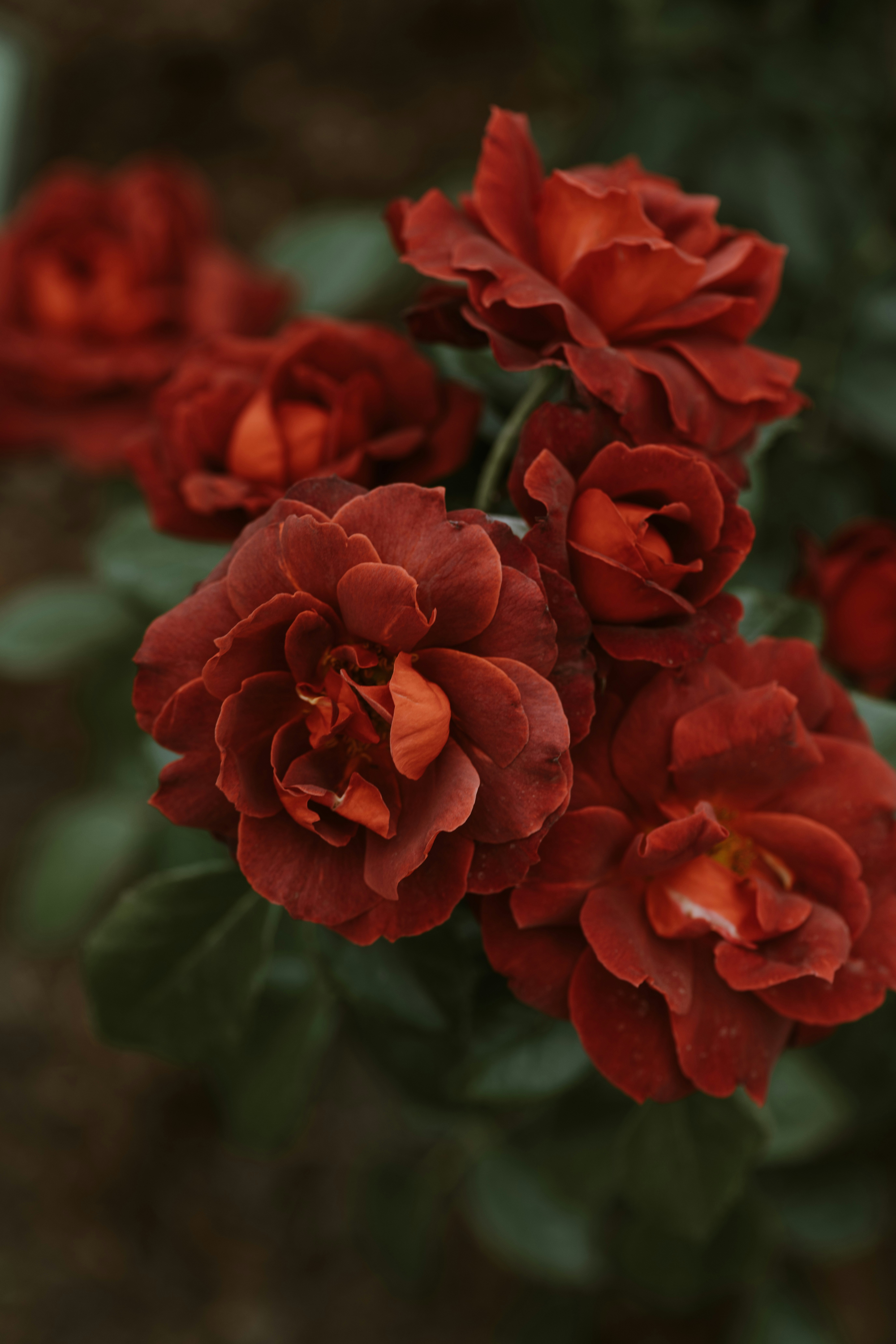 Photo by anitaaustvika