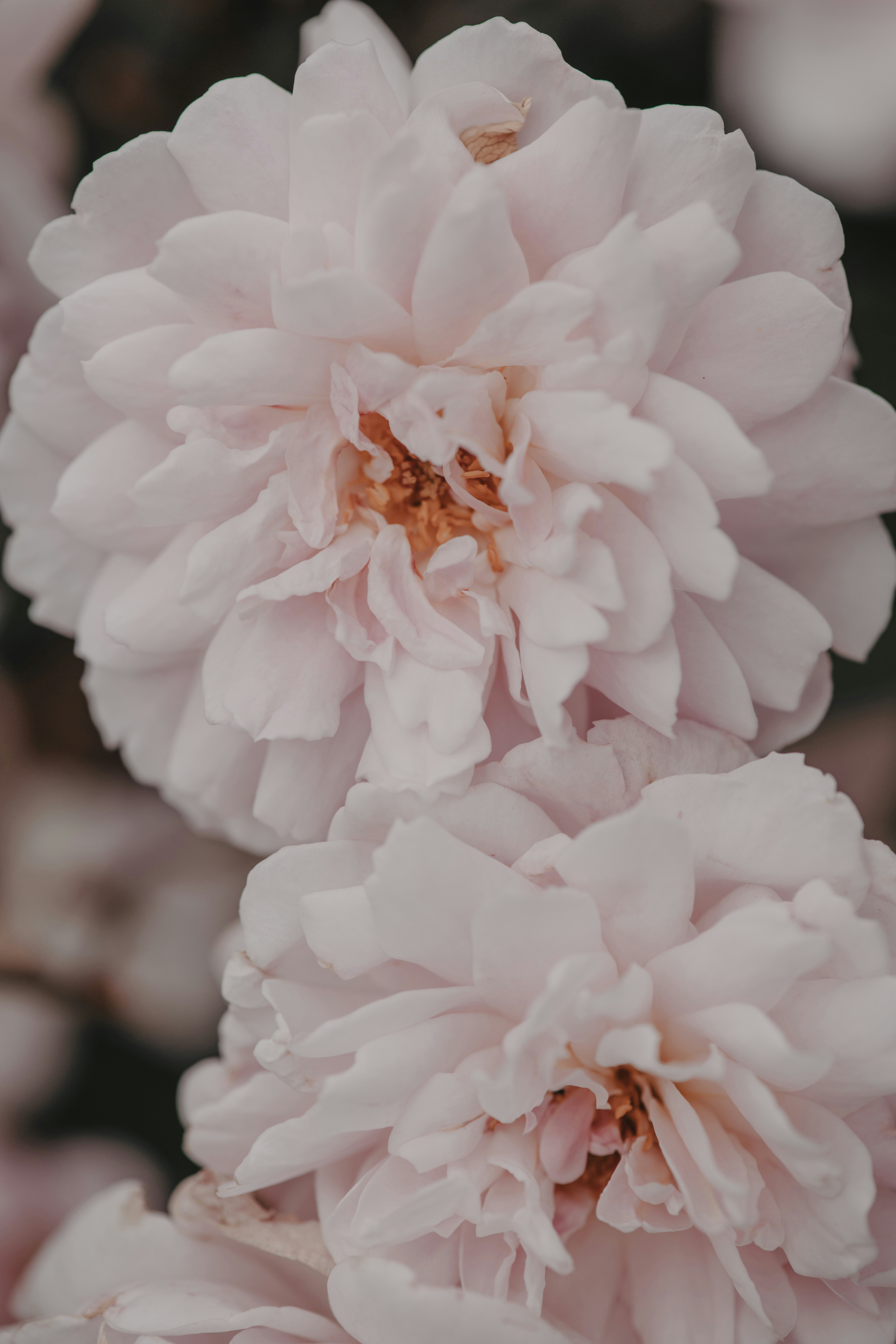 Photo by anitaaustvika