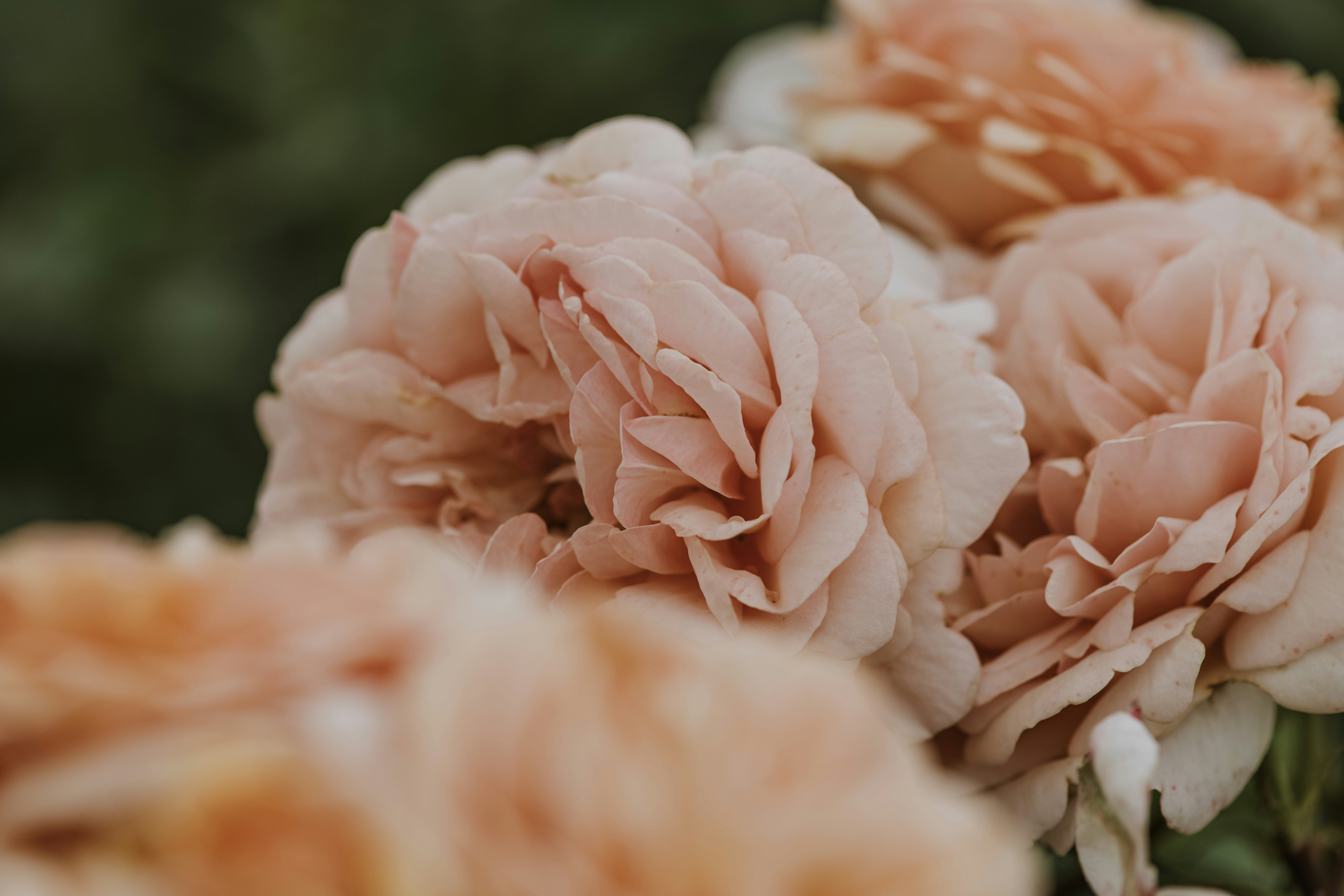 Photo by anitaaustvika